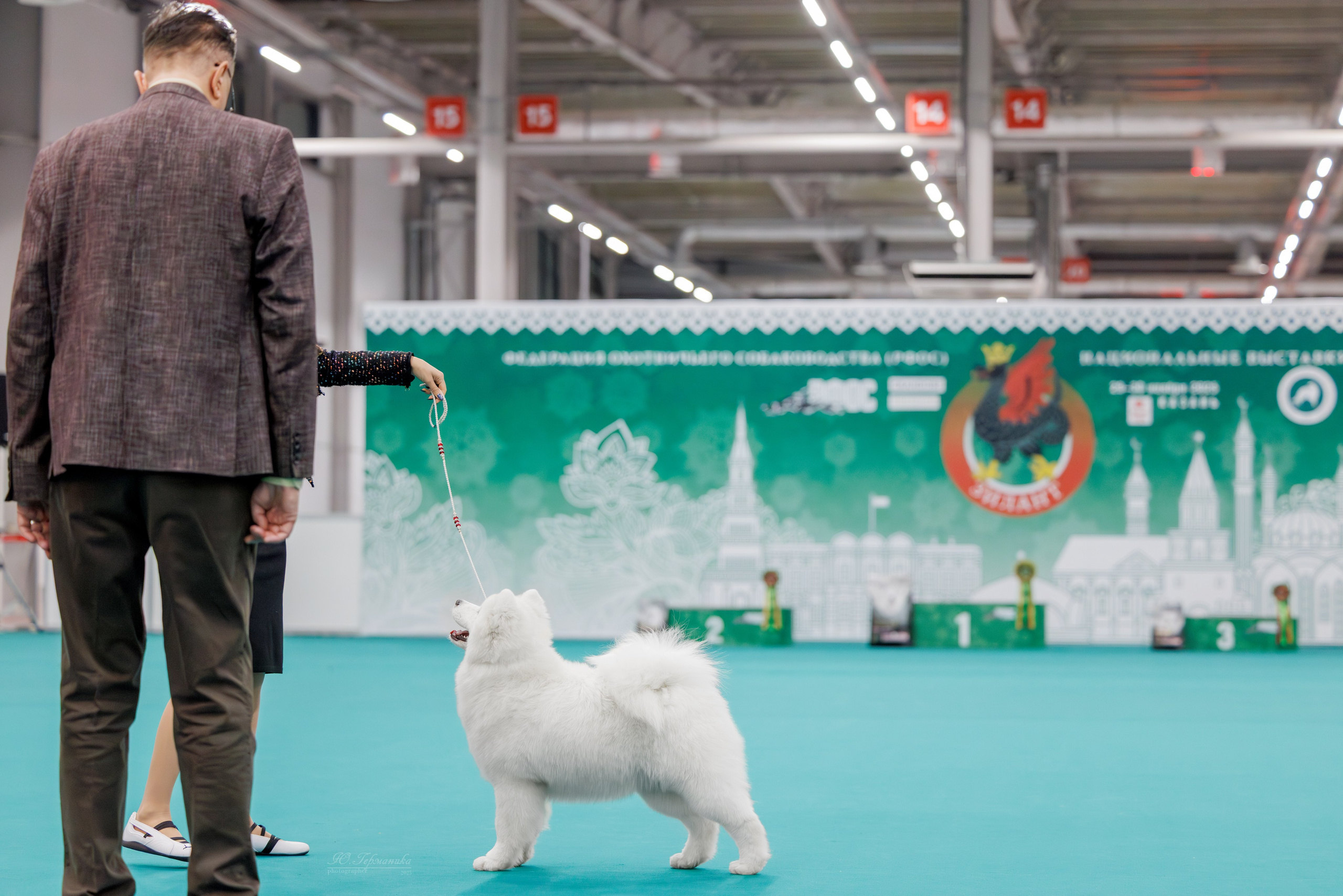 Зилант Казань 29-30.11.2025. Фотограф-анималист Юлия Германика