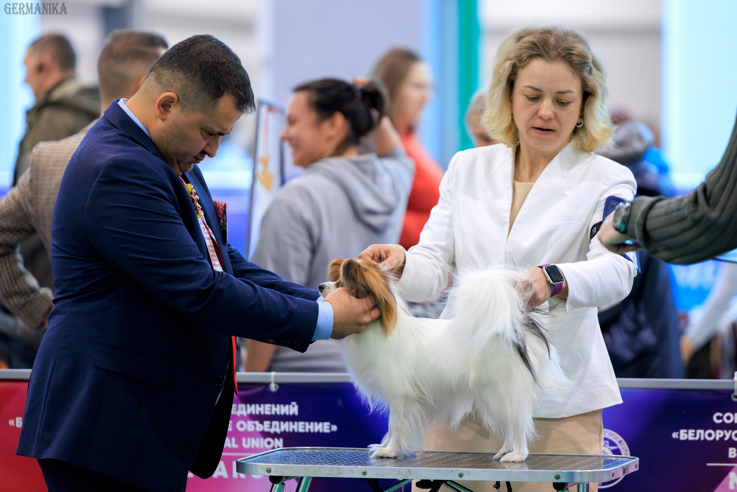 Минск 24-25.02.2024. Фотограф-анималист Юлия Германика