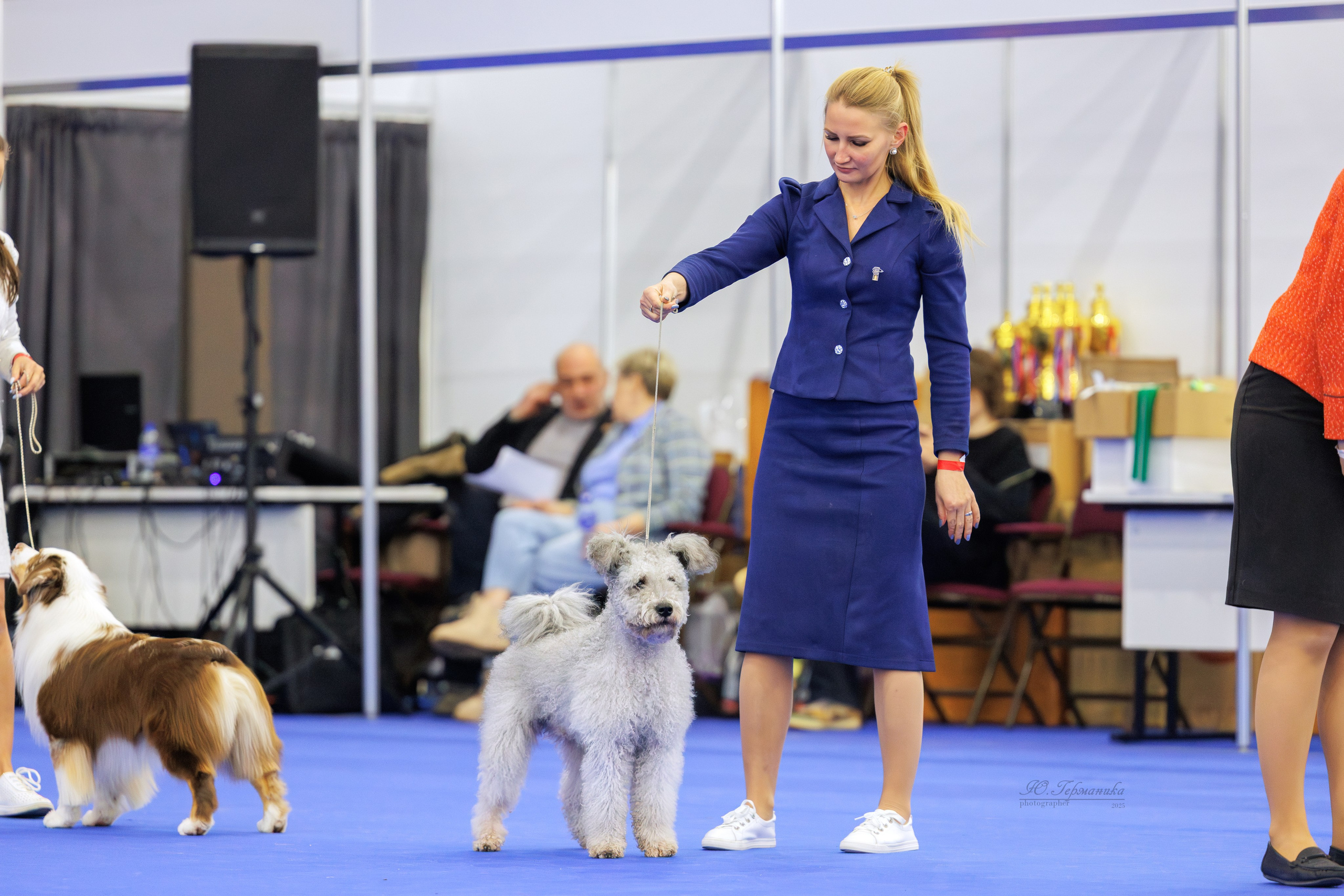 Питер 12-13.12.2025. Фотограф-анималист Юлия Германика