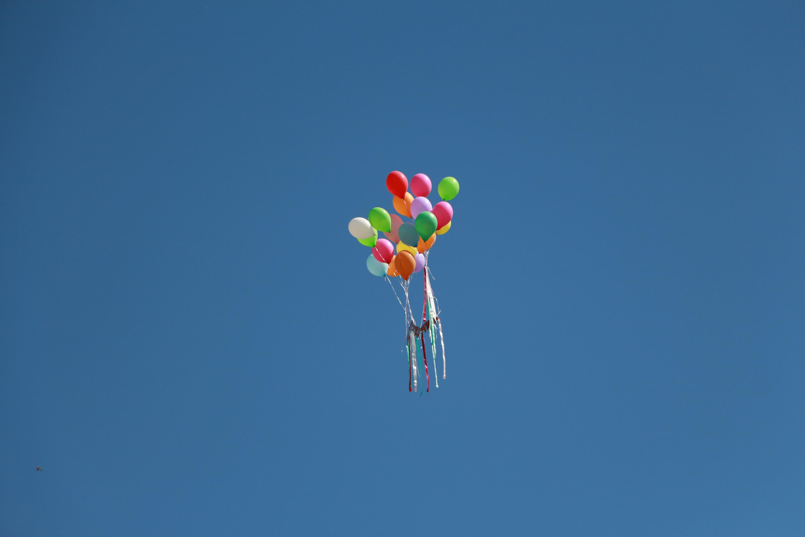 Последний звонок. Свадебный и семейный фотограф в Рязани Анастасия
