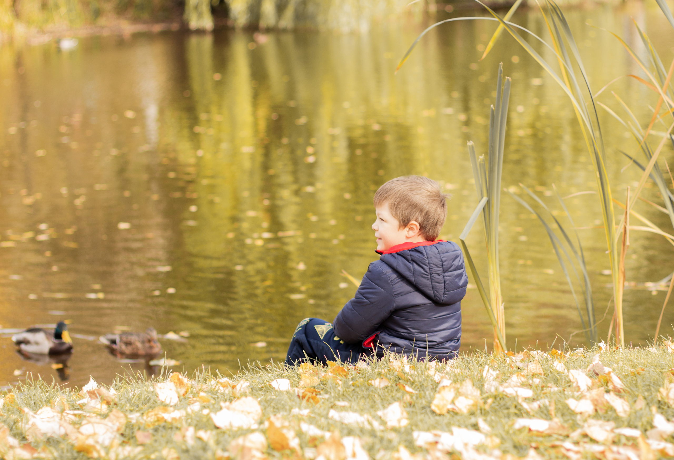 Осень 2020. Свадебный и семейный фотограф в Рязани Анастасия