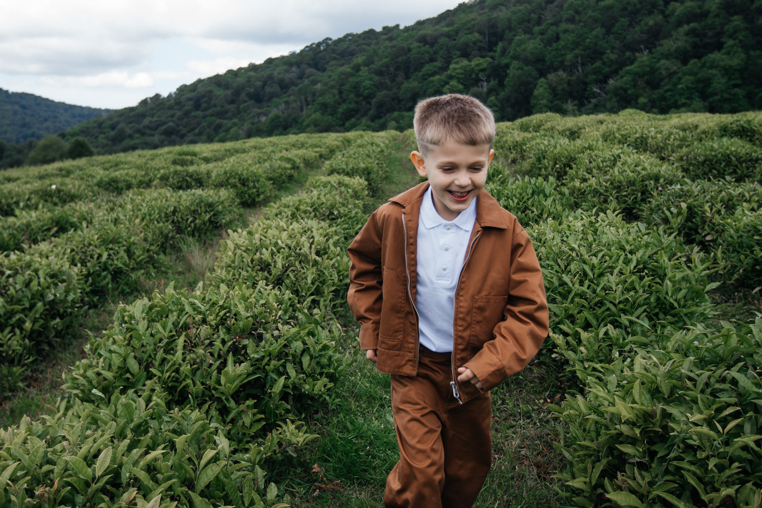 Tea plantation. Efimova Model Agency