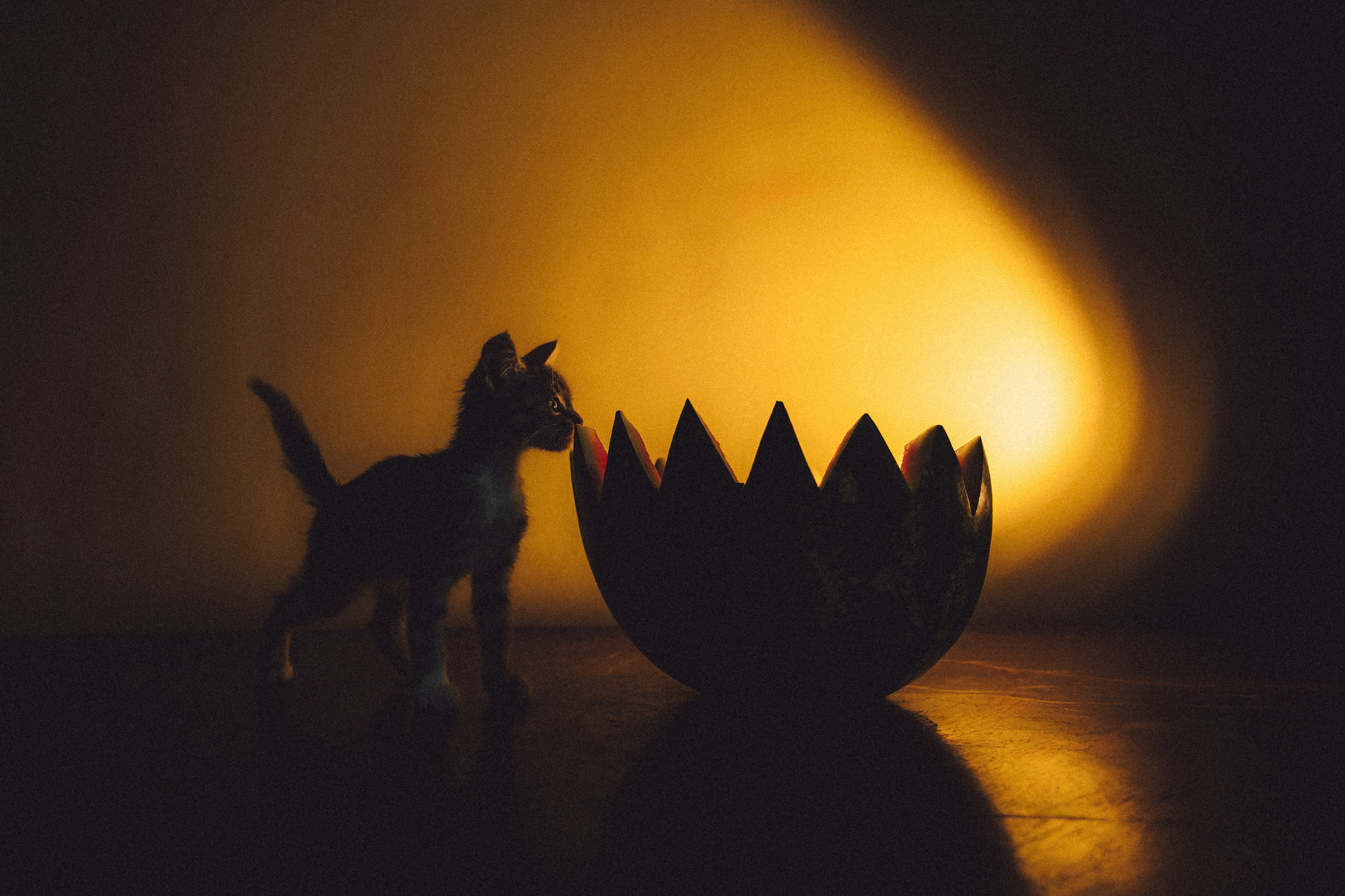 Сирена и арбуз