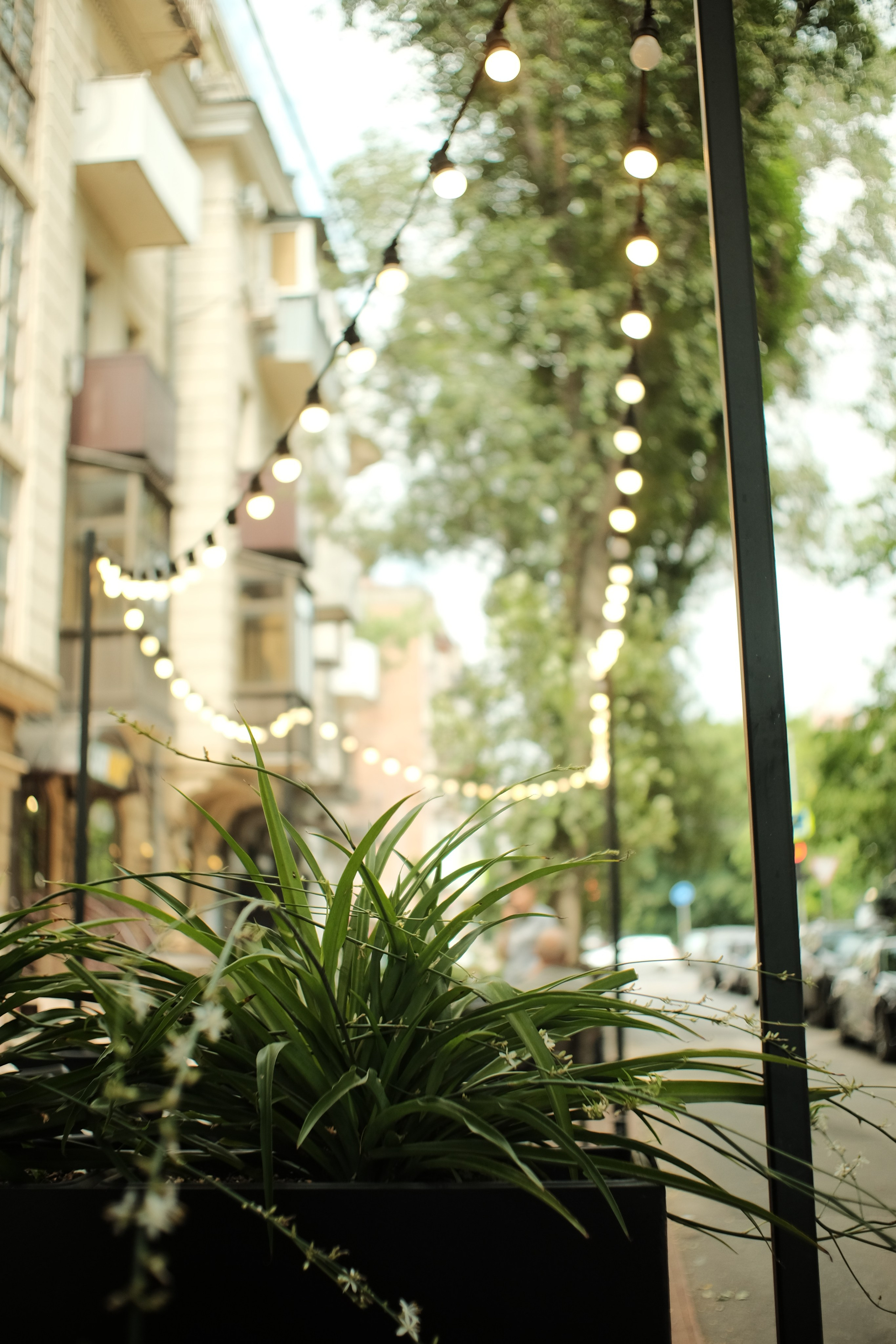 Street. Свадебный фотограф в Ростове-на-Дону Владимир Пешков