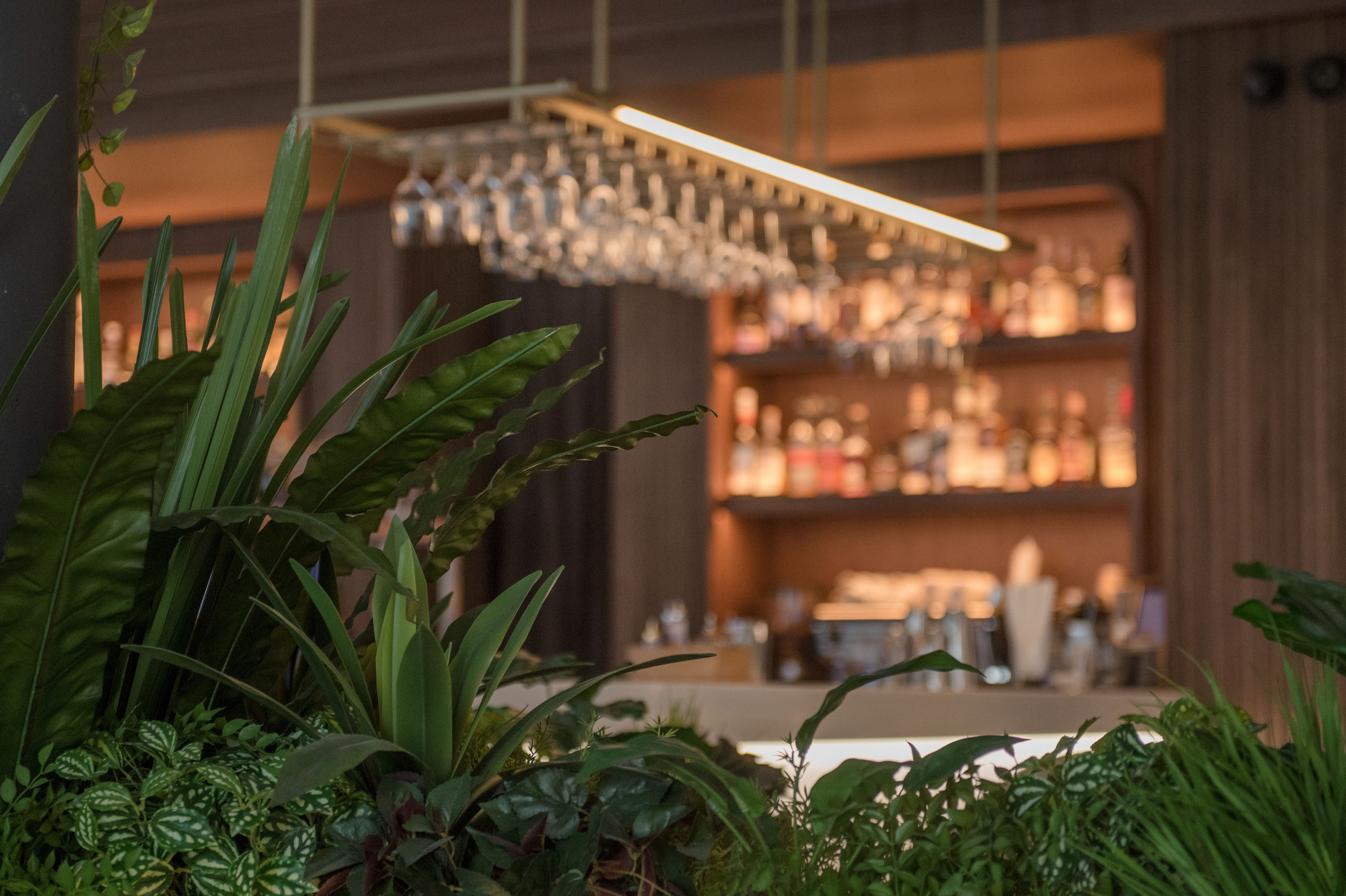 Интерьеры Ресторанов г. Москва. Фотограф в Москве