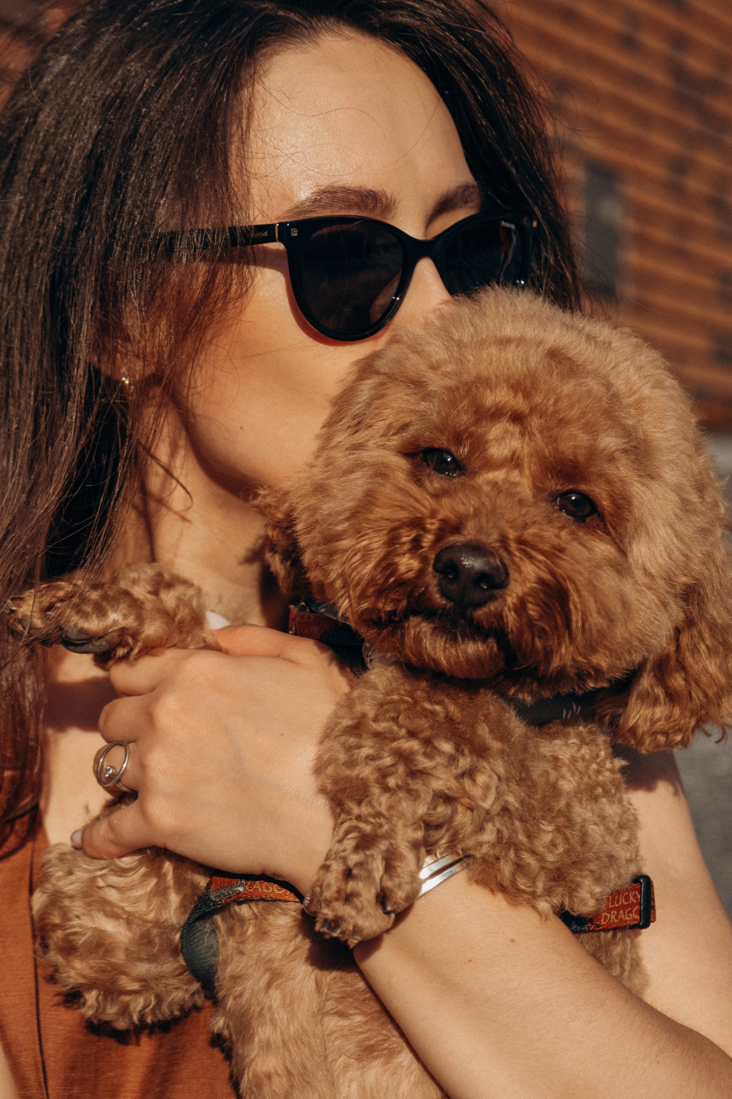 Animalism. Nataresso | фотограф Москва