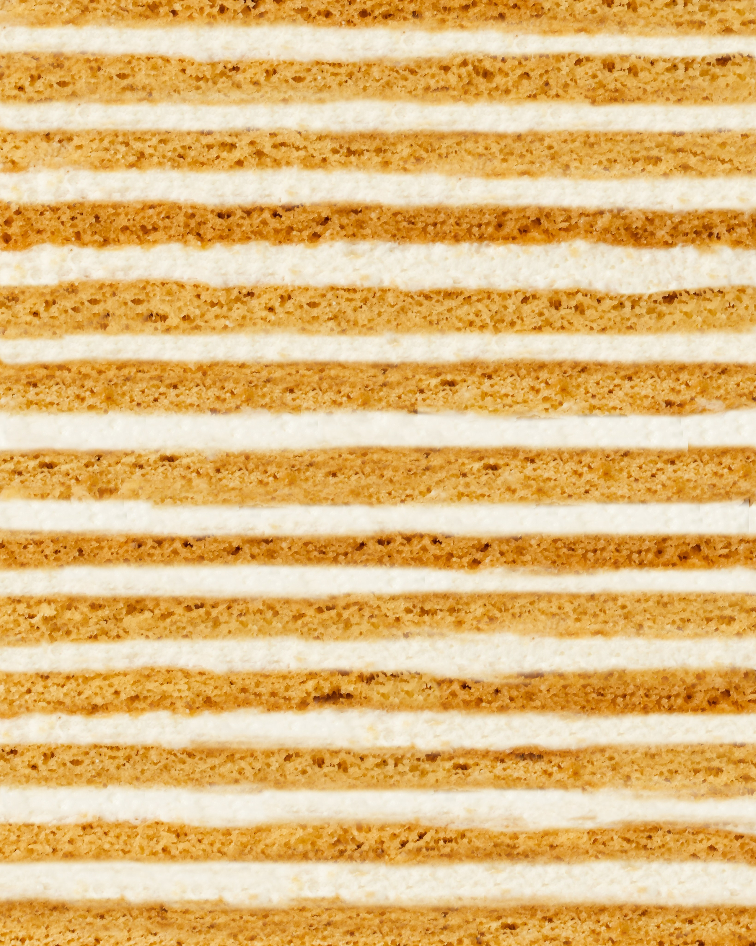 Sama Atelier. AMODEO STUDIO