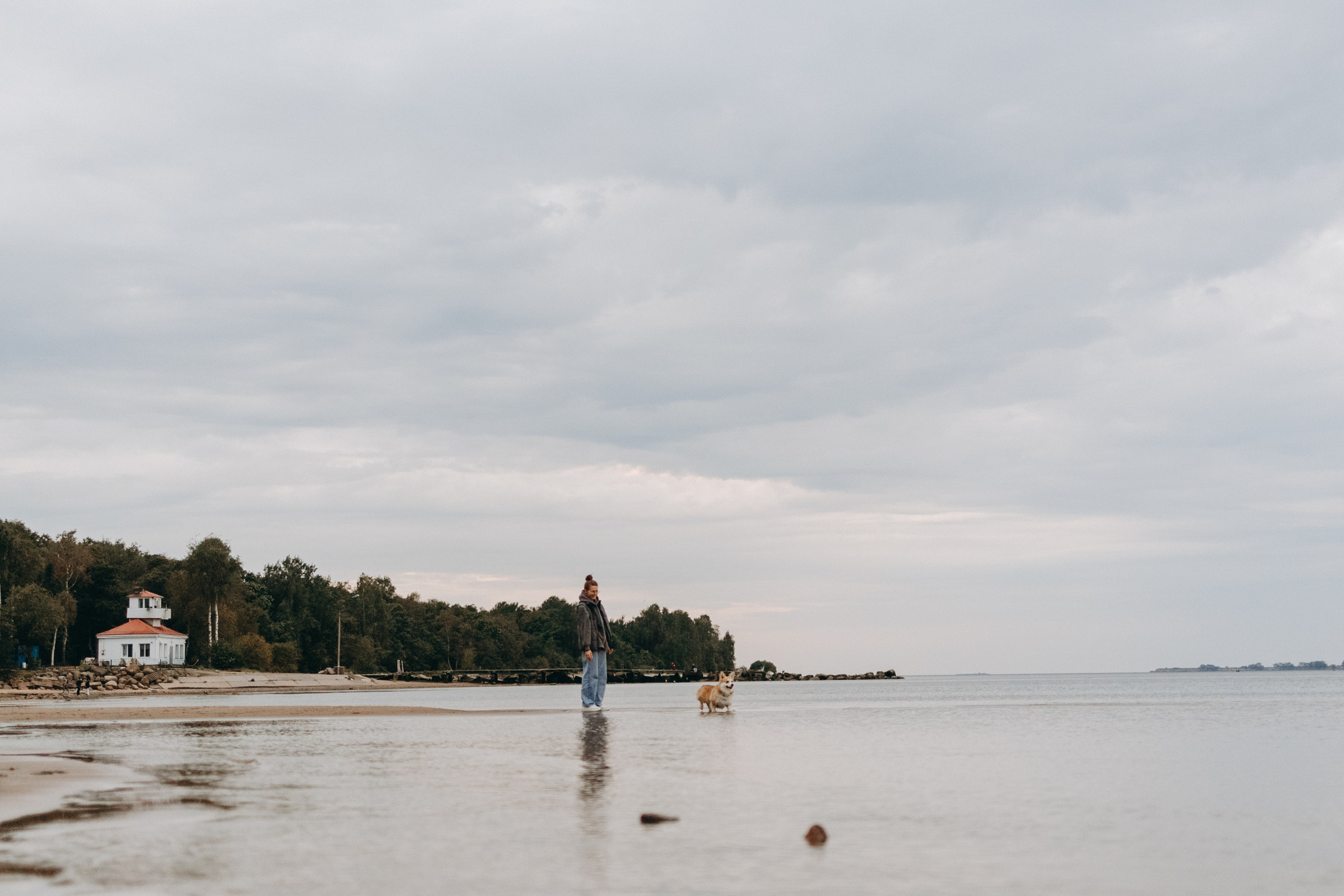 Лиза и Бакс. Фотограф — Анималист | Санкт-Петербург