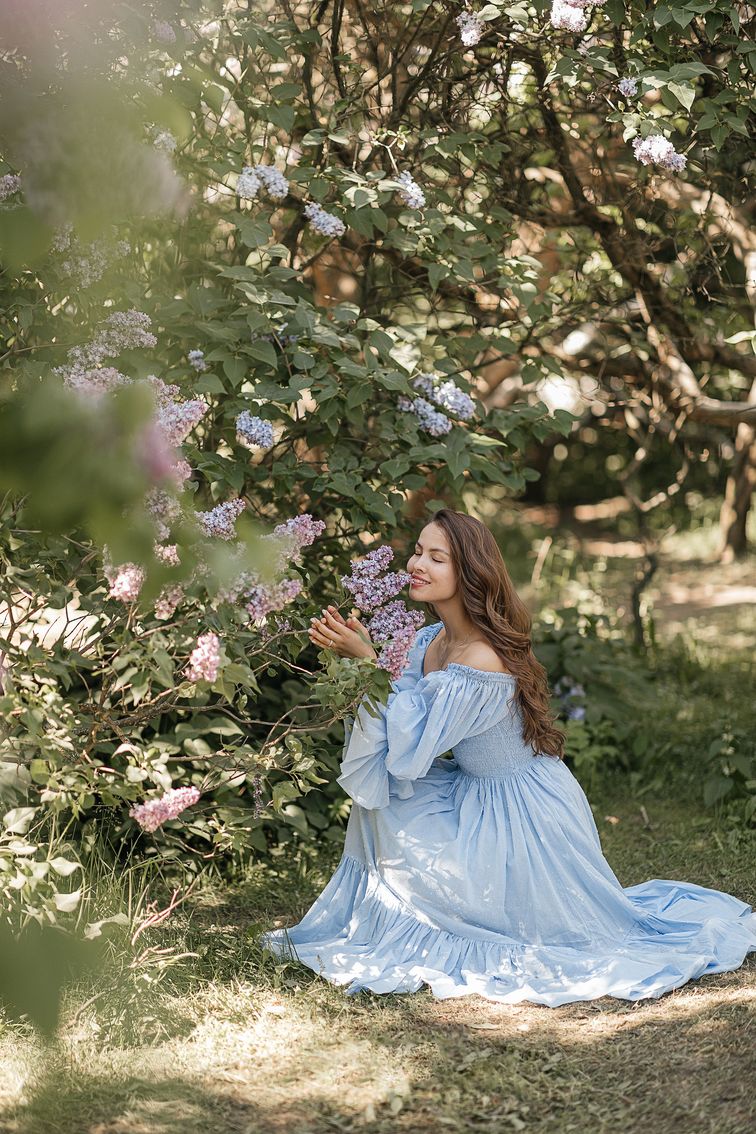 Сирень Азиза. Фотограф Москва