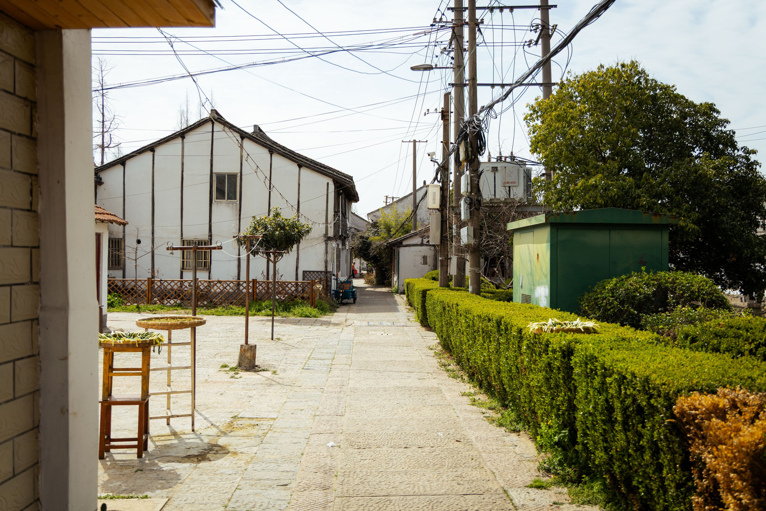 Шанхай (март 2026). Фотограф Виноградов Константин