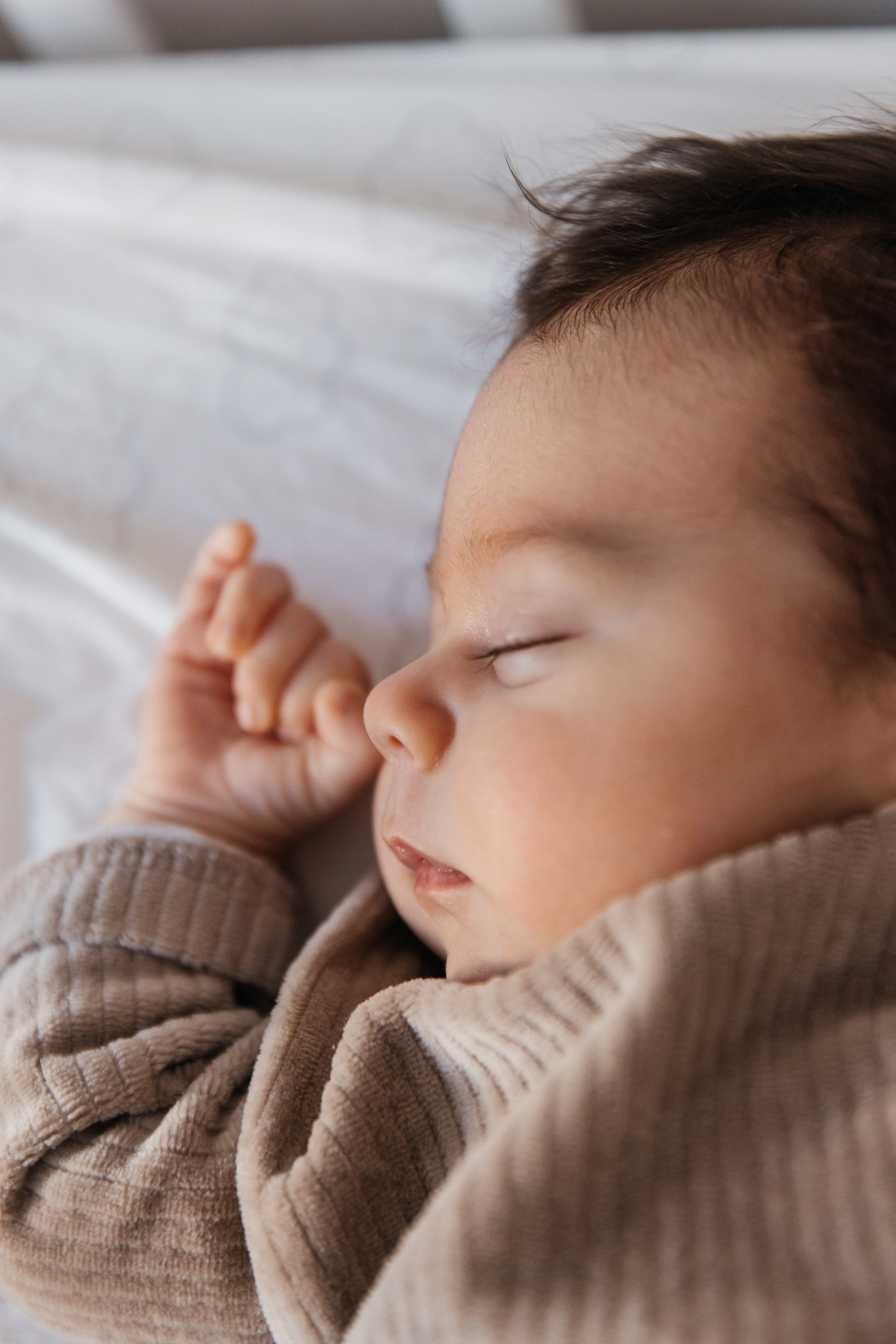 Илья|Ольга|Миша. Фотограф Москва Шептаев Артём