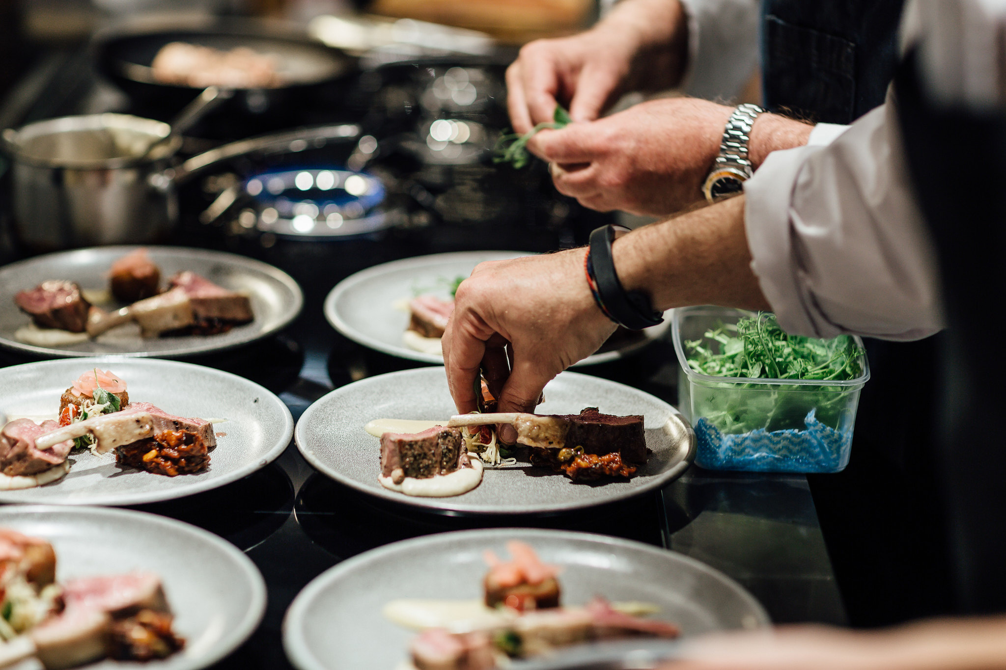 MAX LEMESH PHOTOGRAPHER