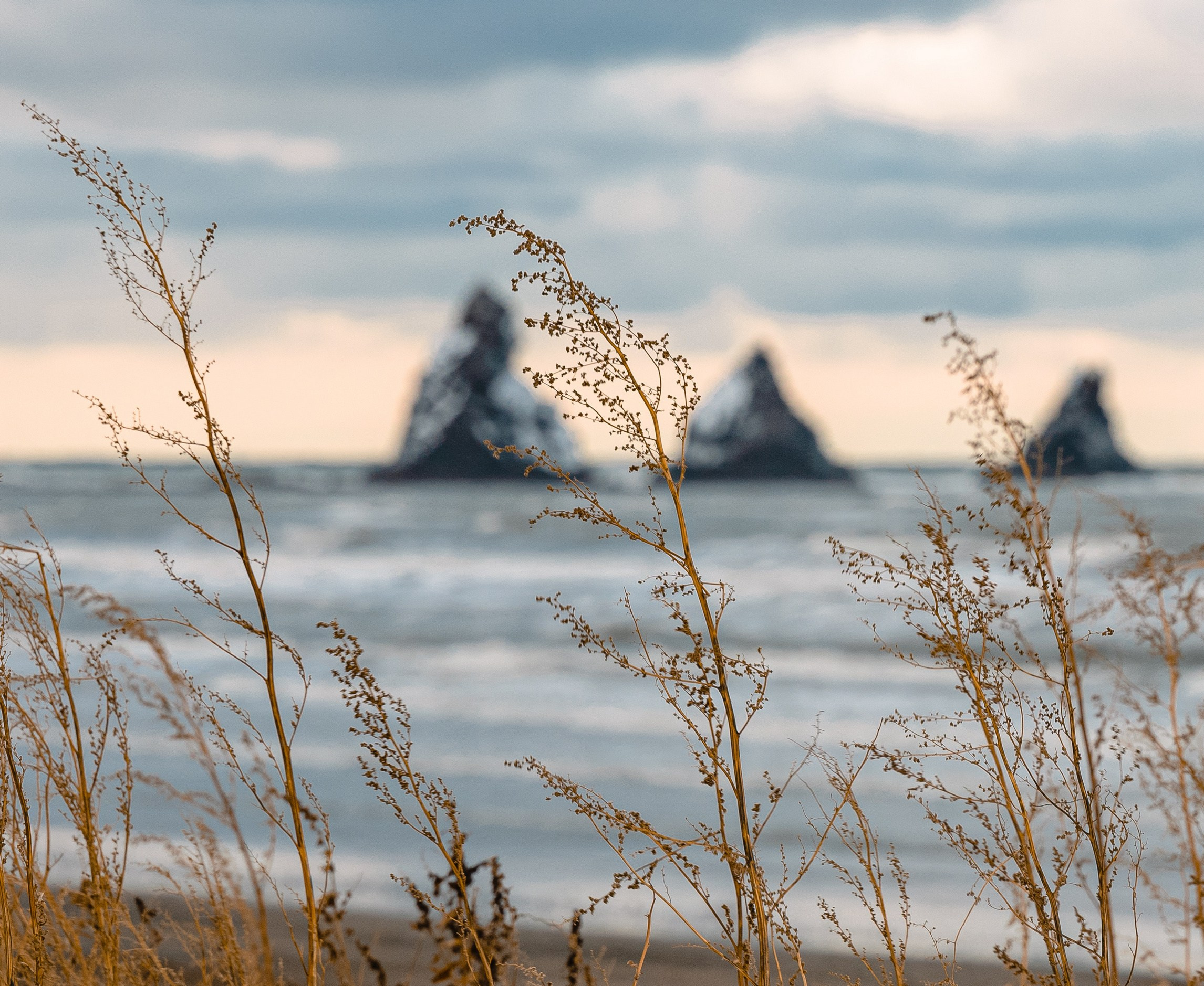 О.Сахалин. Фотограф. г. Южно-Сахалинск. Олег Толстов