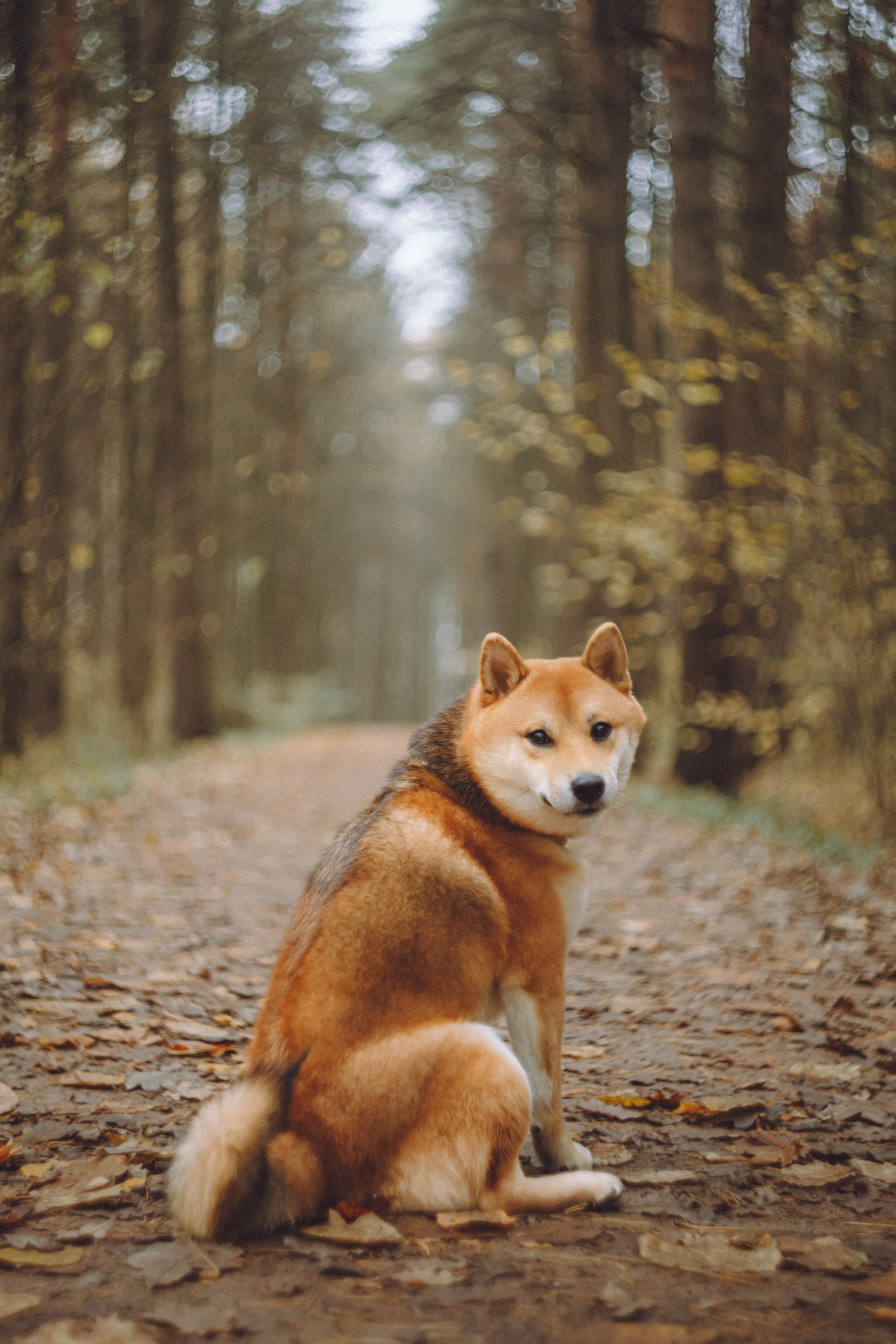 Настя, Юра и Скай