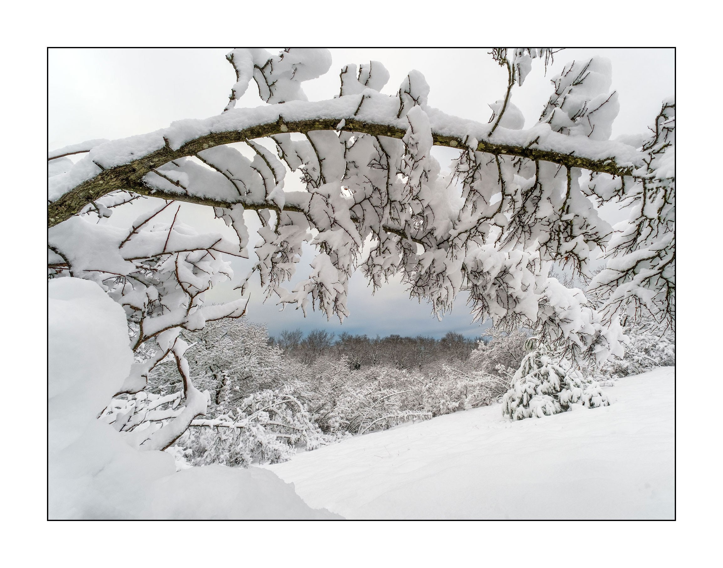 фотограф Геленджик