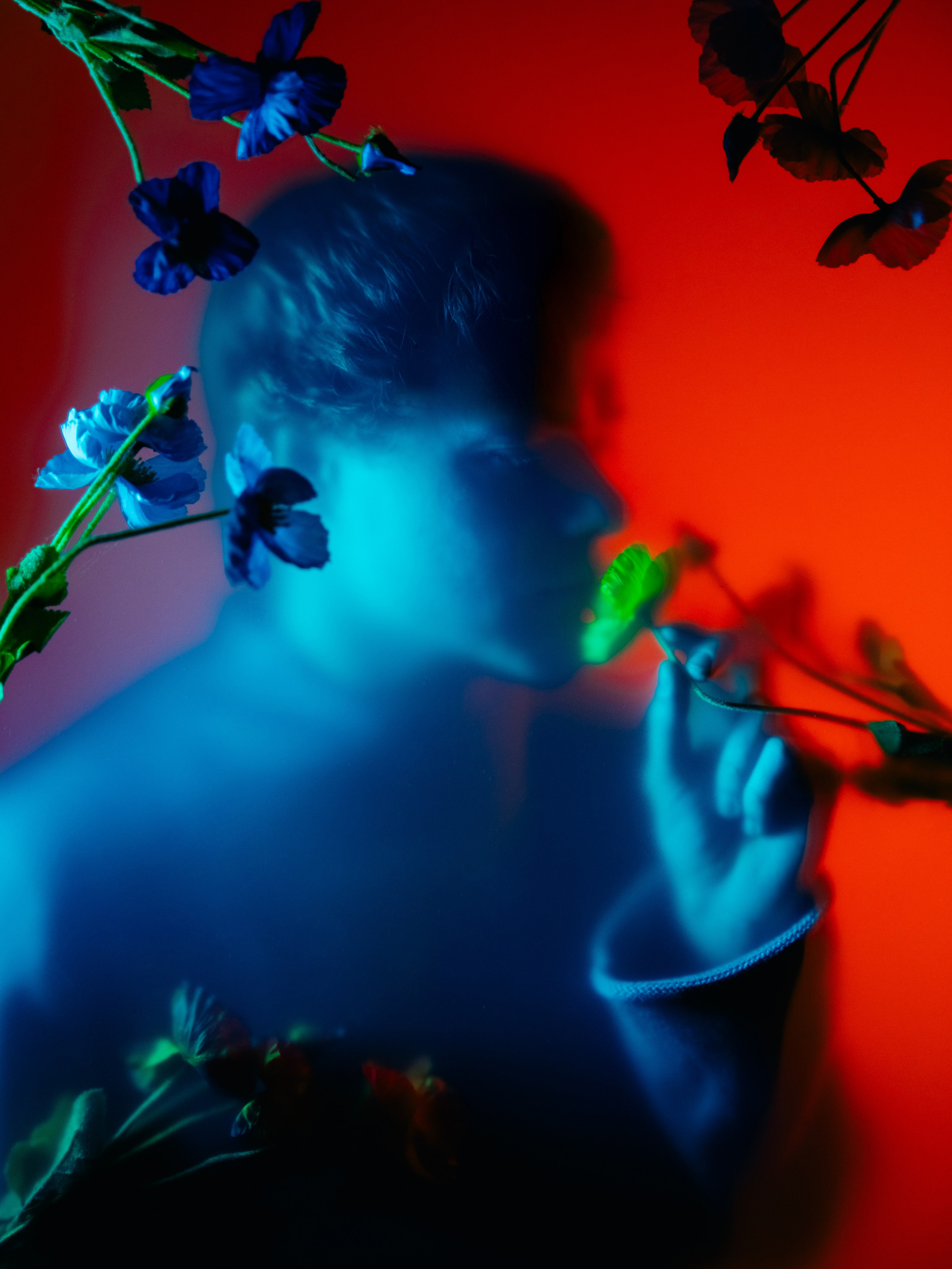 Растворение в цветах