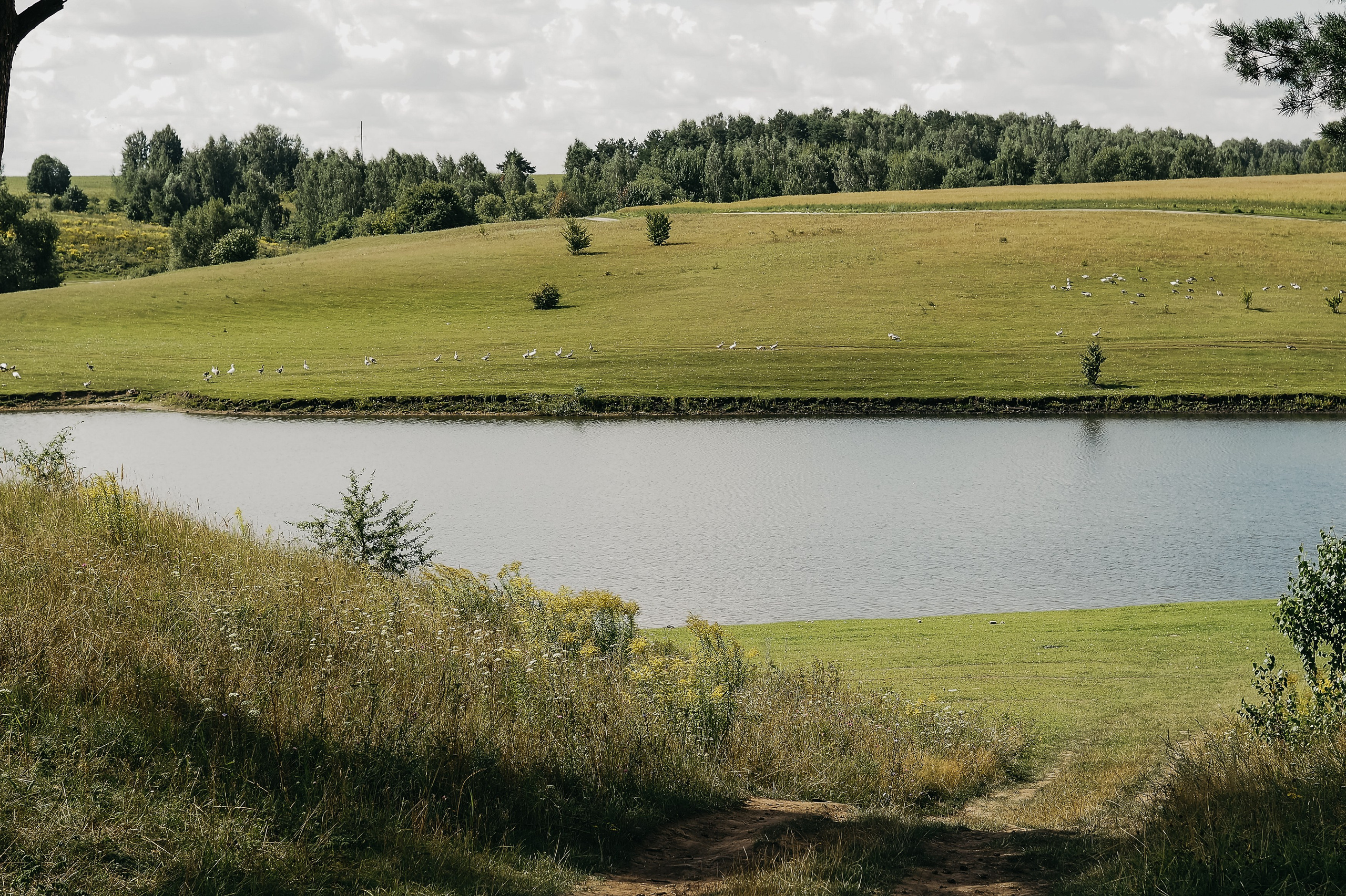 Толмачевский пруд. Фотограф Павлова Светлана / Брянск /