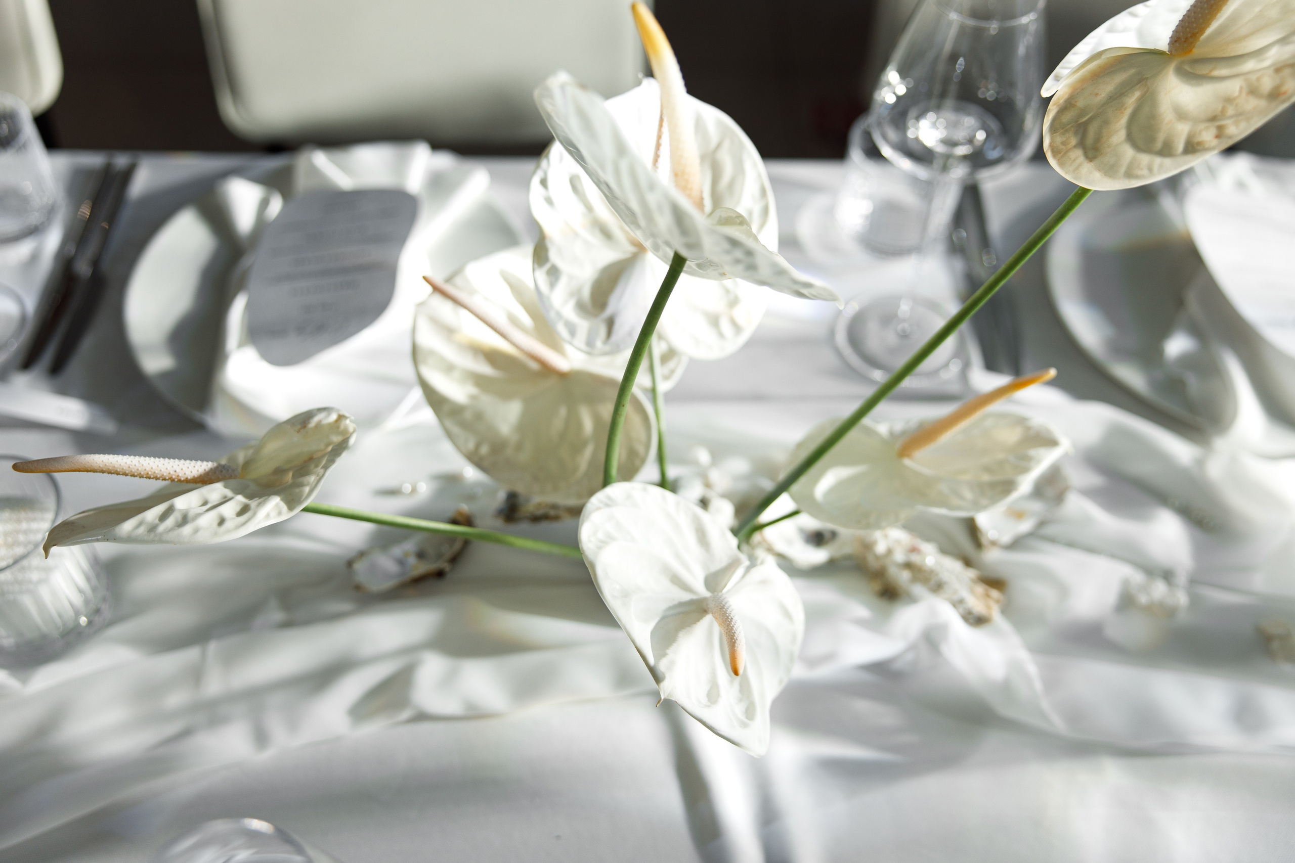 Евгения и Левон | Свадебная годовщина. Свадебный фотограф Минск РБ