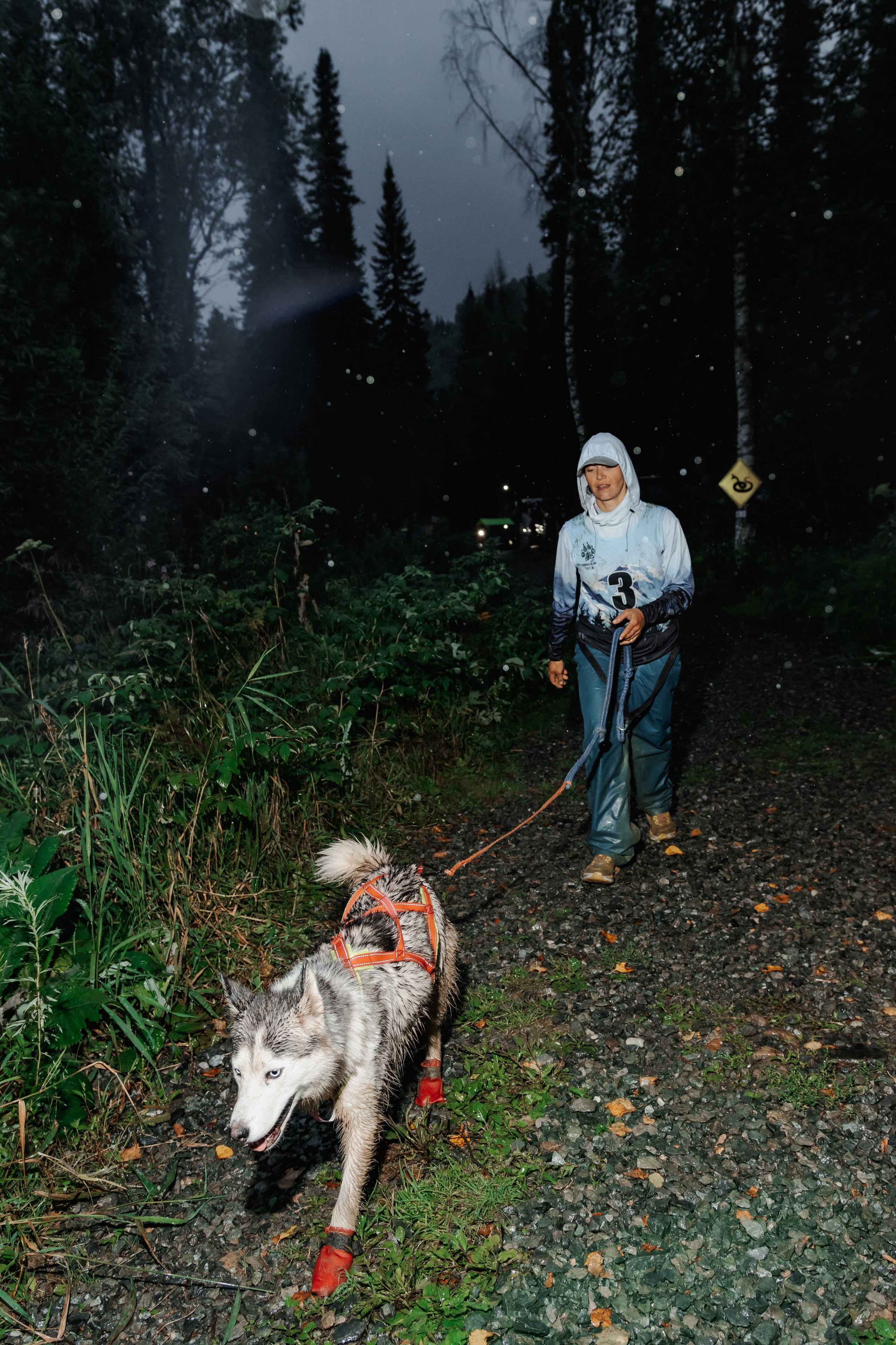 Дог-треккинг