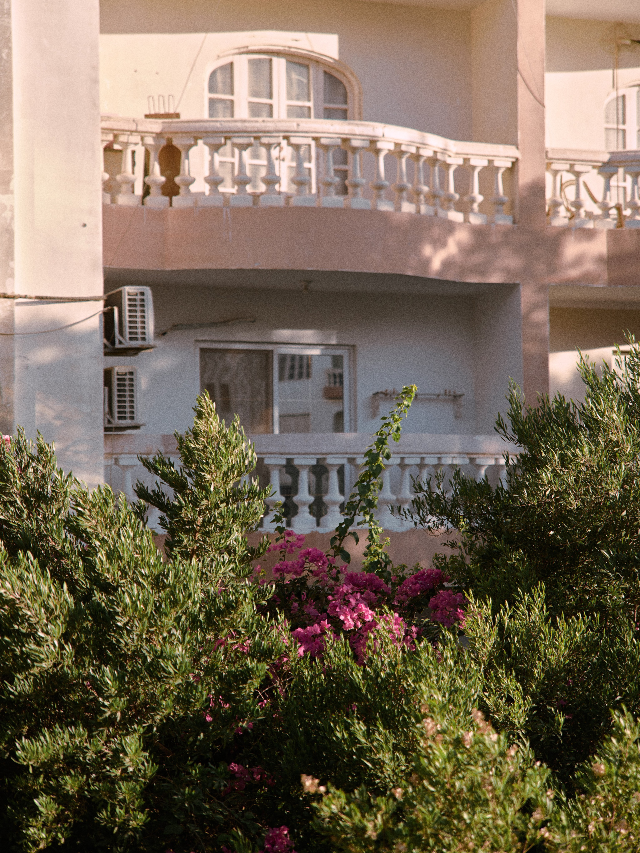 Природа сквозь. Jorgis Talè — photographer, kind person, teacher of arts and other mag