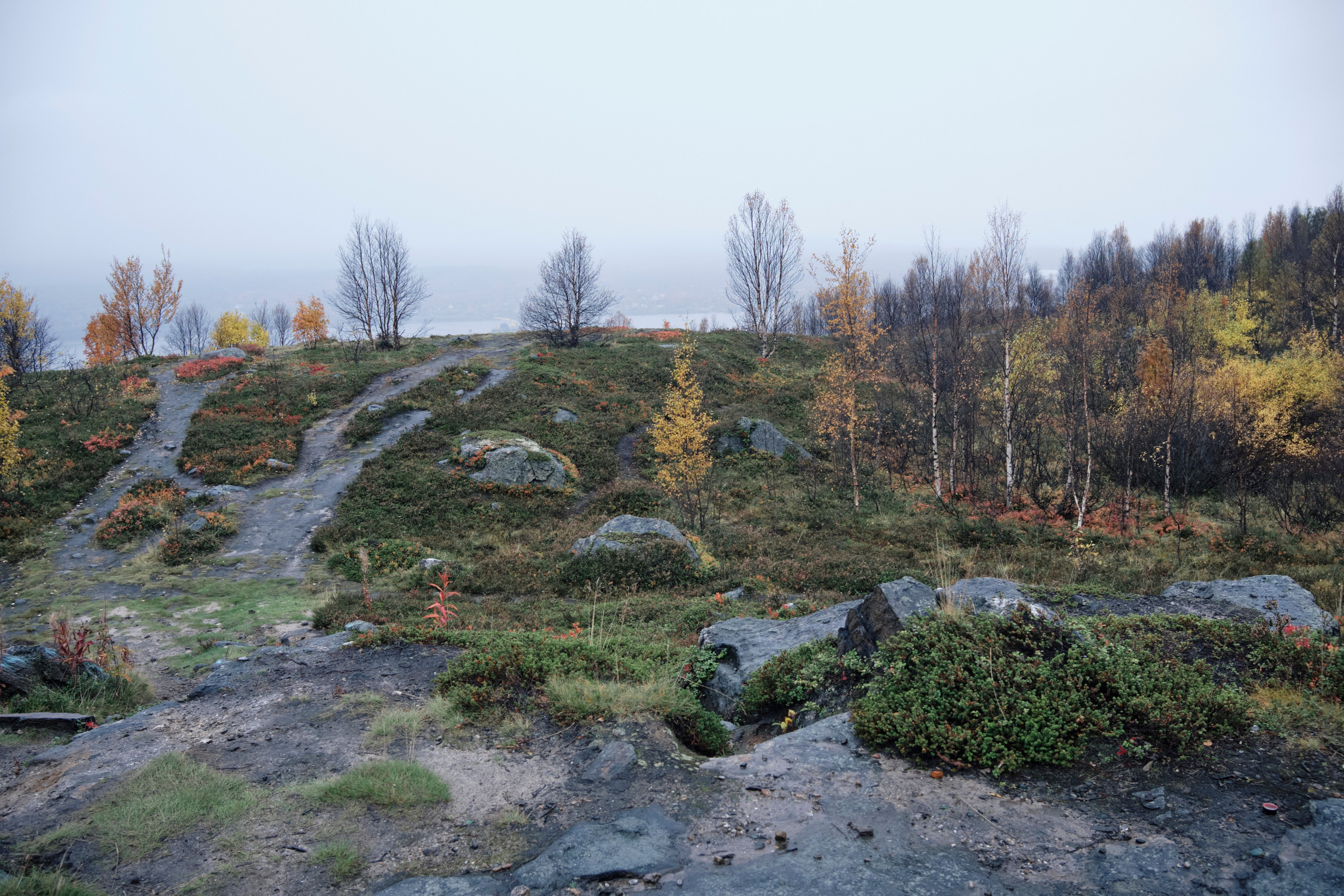 Поездка в Мурманск. Заметки и фото. Елена Павленко. Фотограф. Москва