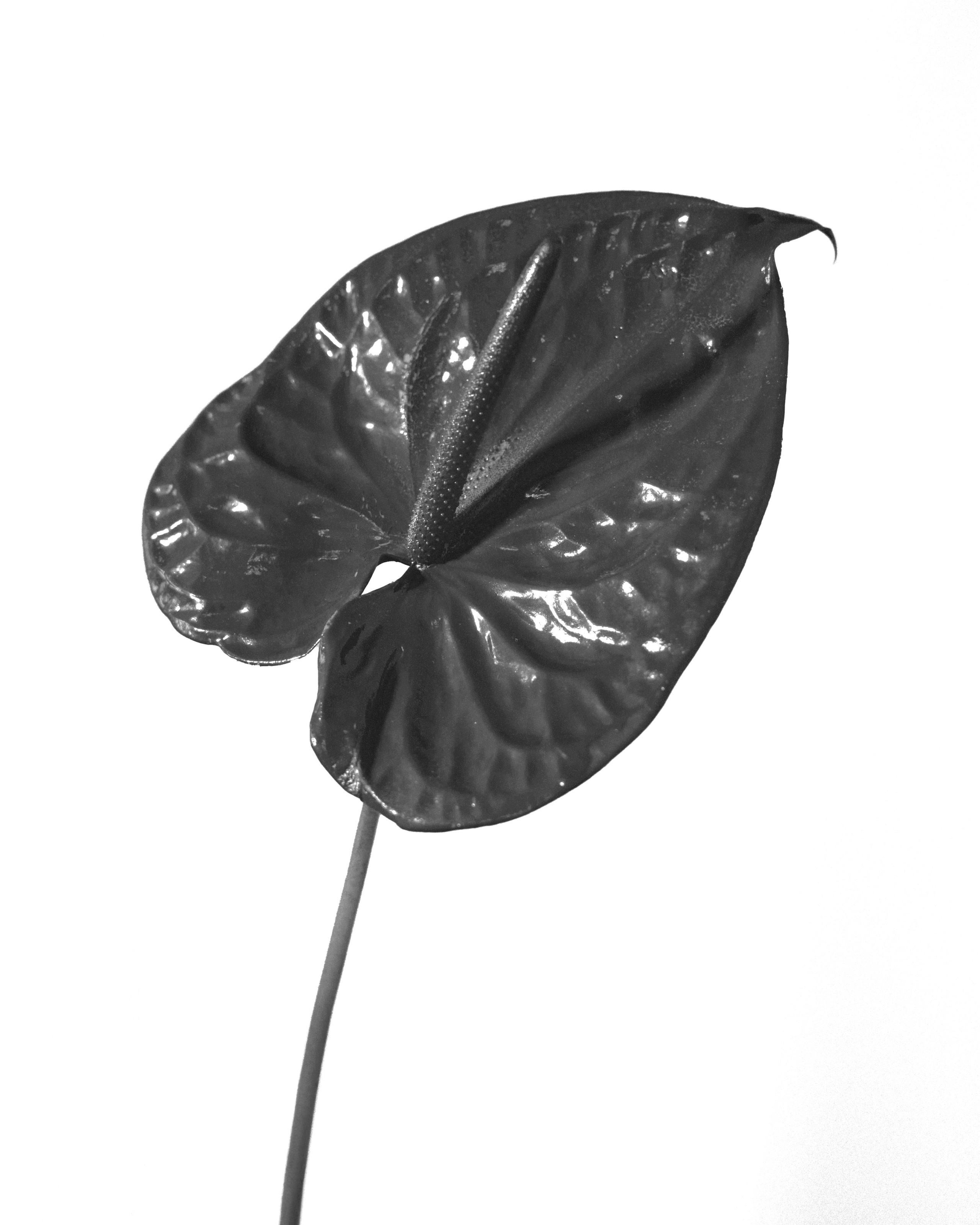 Арина и Константин. Фотограф в Ростове-на-Дону