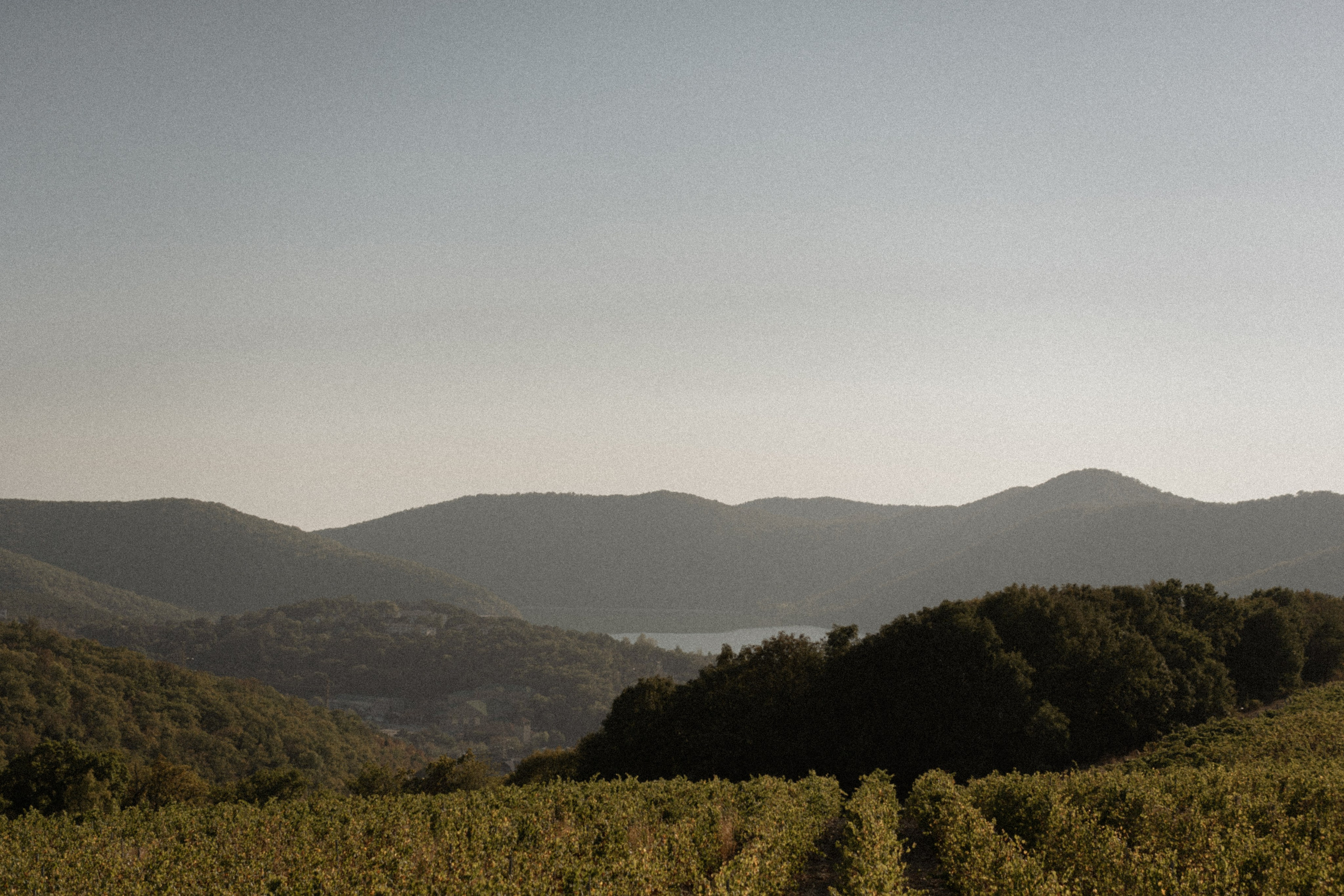 Успеть до рассвета. Абрау. 2023. Никита Погосов