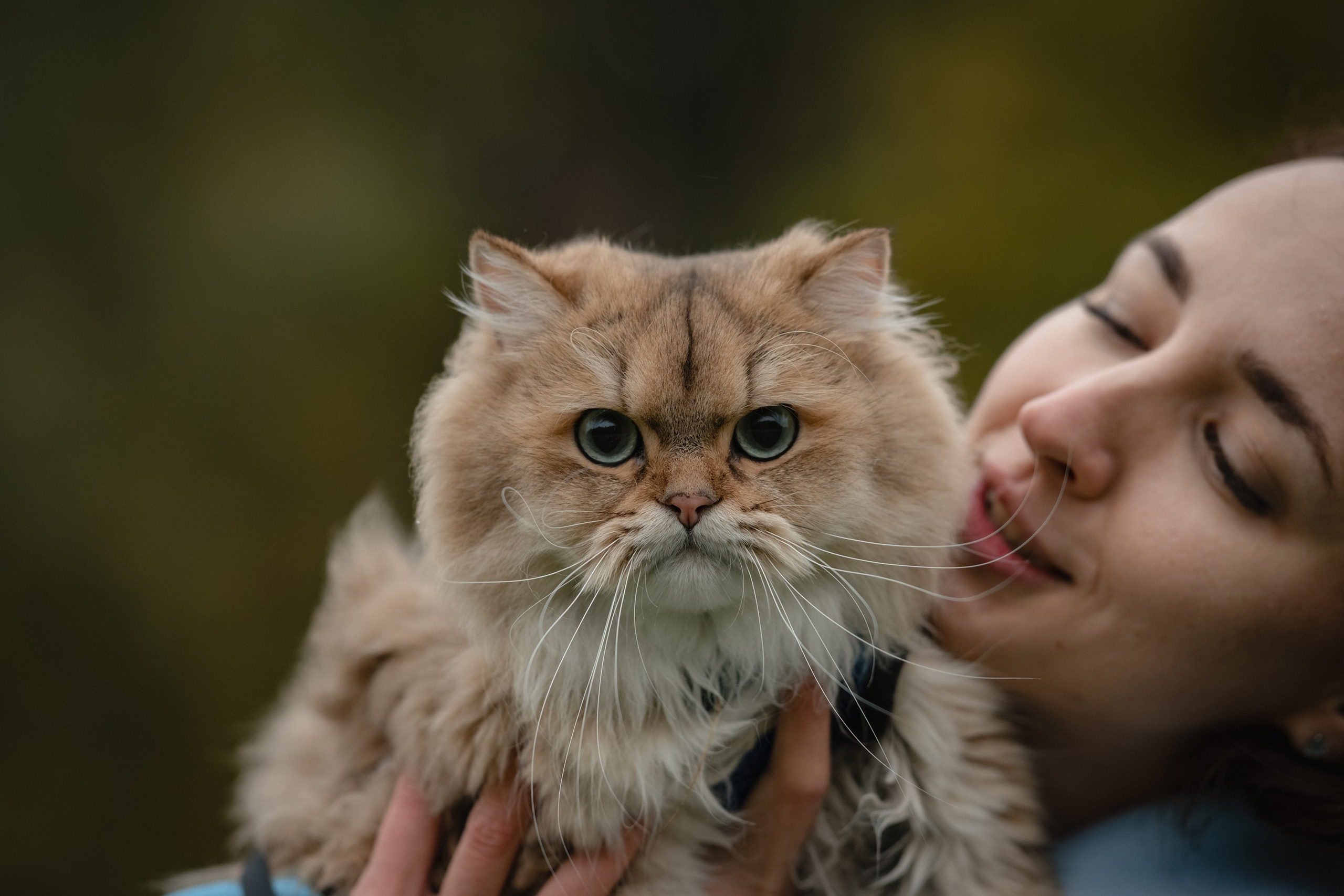 Мещерский парк. Семейный фотограф и анималист в Москве и Московской области