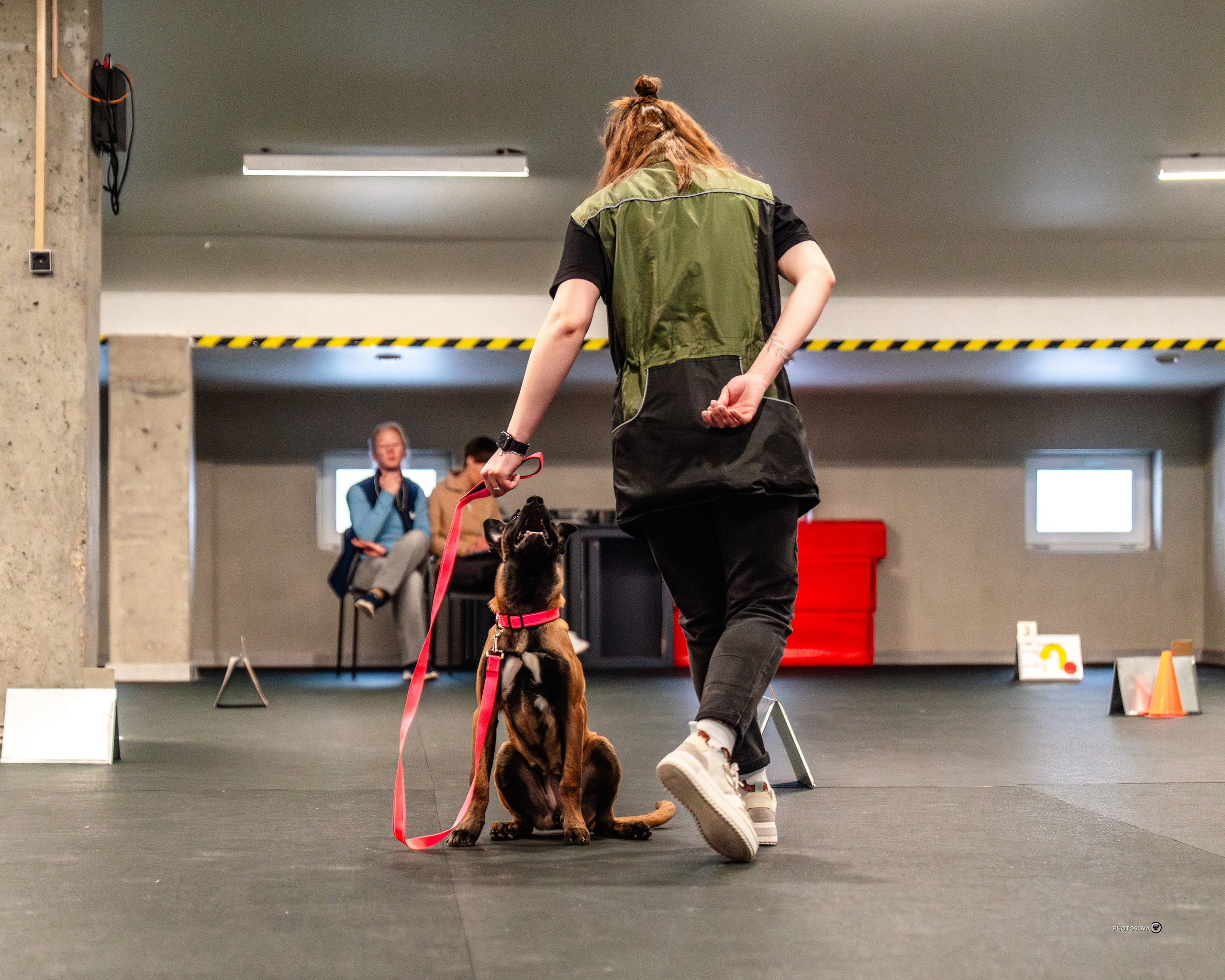 ТЫ И Я (соревнования по ралли-обидиенс). Фотограф-анималист, семейный фотограф в Москве и Подмосковье. Фотосъёмка кинологических дисциплин