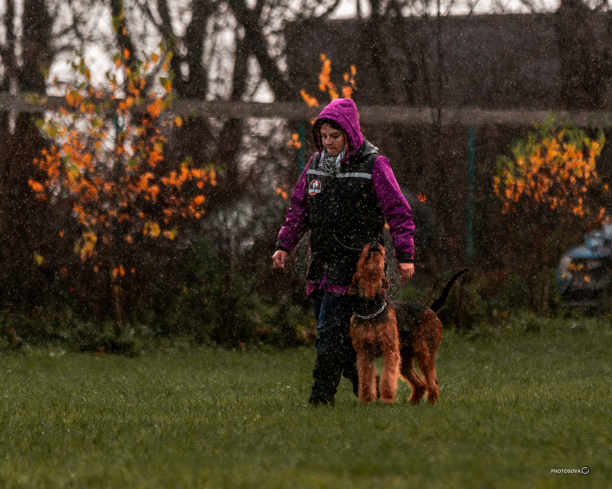 МЫ — КОМАНДА (соревнования) OKD, BH, IBGH, IGP. Фотограф-анималист, семейный фотограф в Москве и Подмосковье. Фотосъёмка кинологических дисциплин