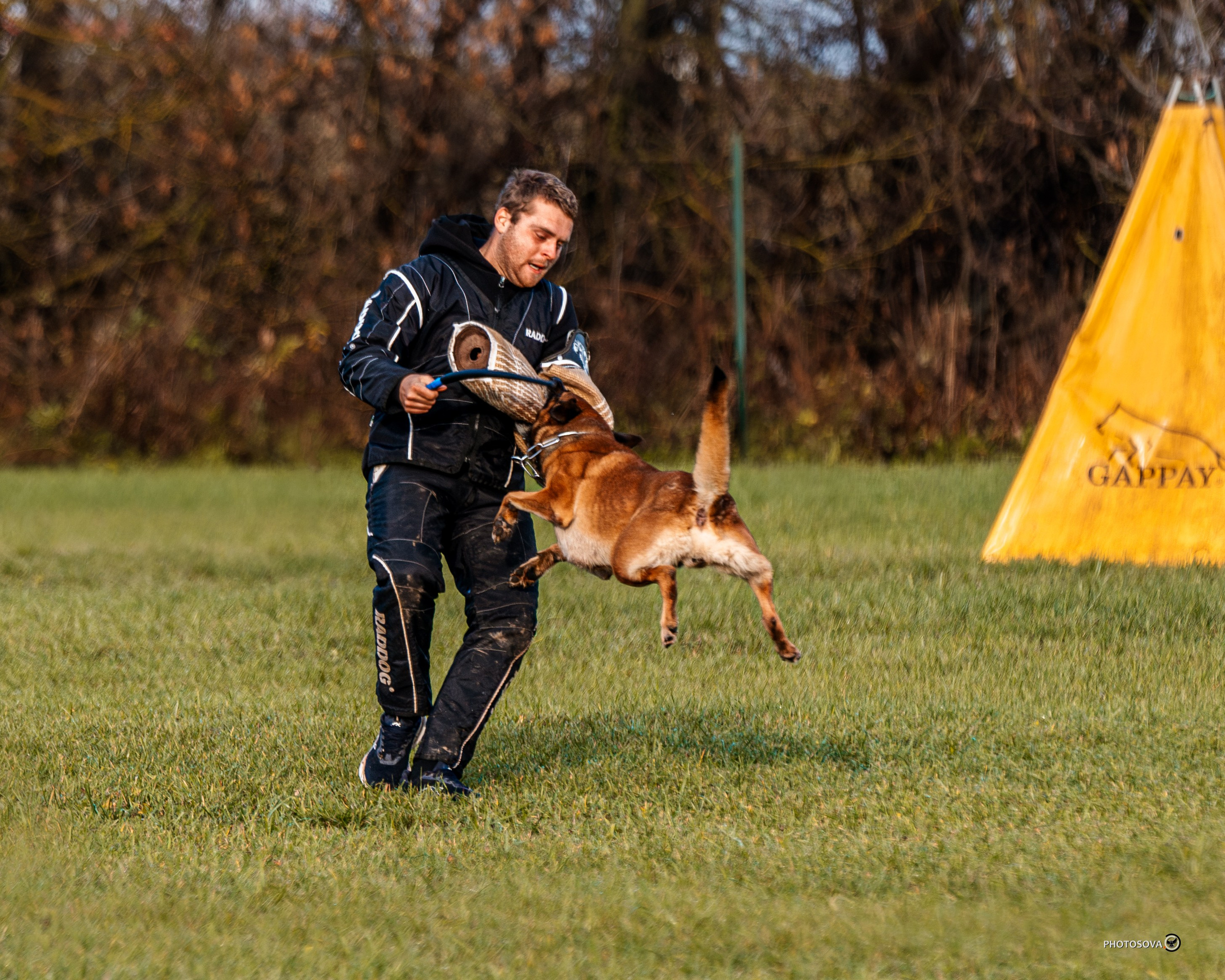 МЫ — КОМАНДА (соревнования) OKD, BH, IBGH, IGP. Фотограф-анималист, семейный фотограф в Москве и Подмосковье. Фотосъёмка кинологических дисциплин