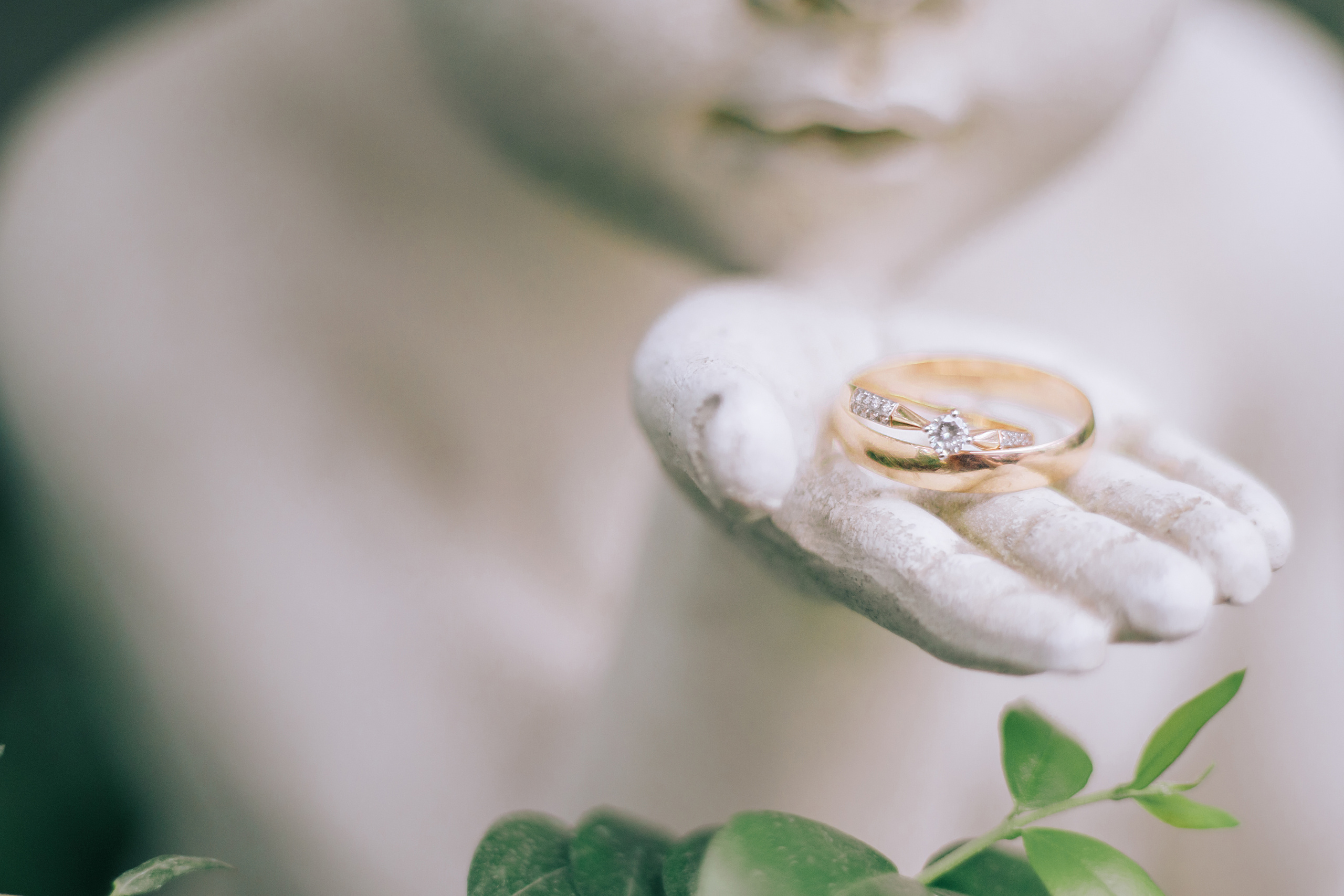 Свадебная фотосессия в ботаническом саду. Светлана Иванова - профессиональный фотограф