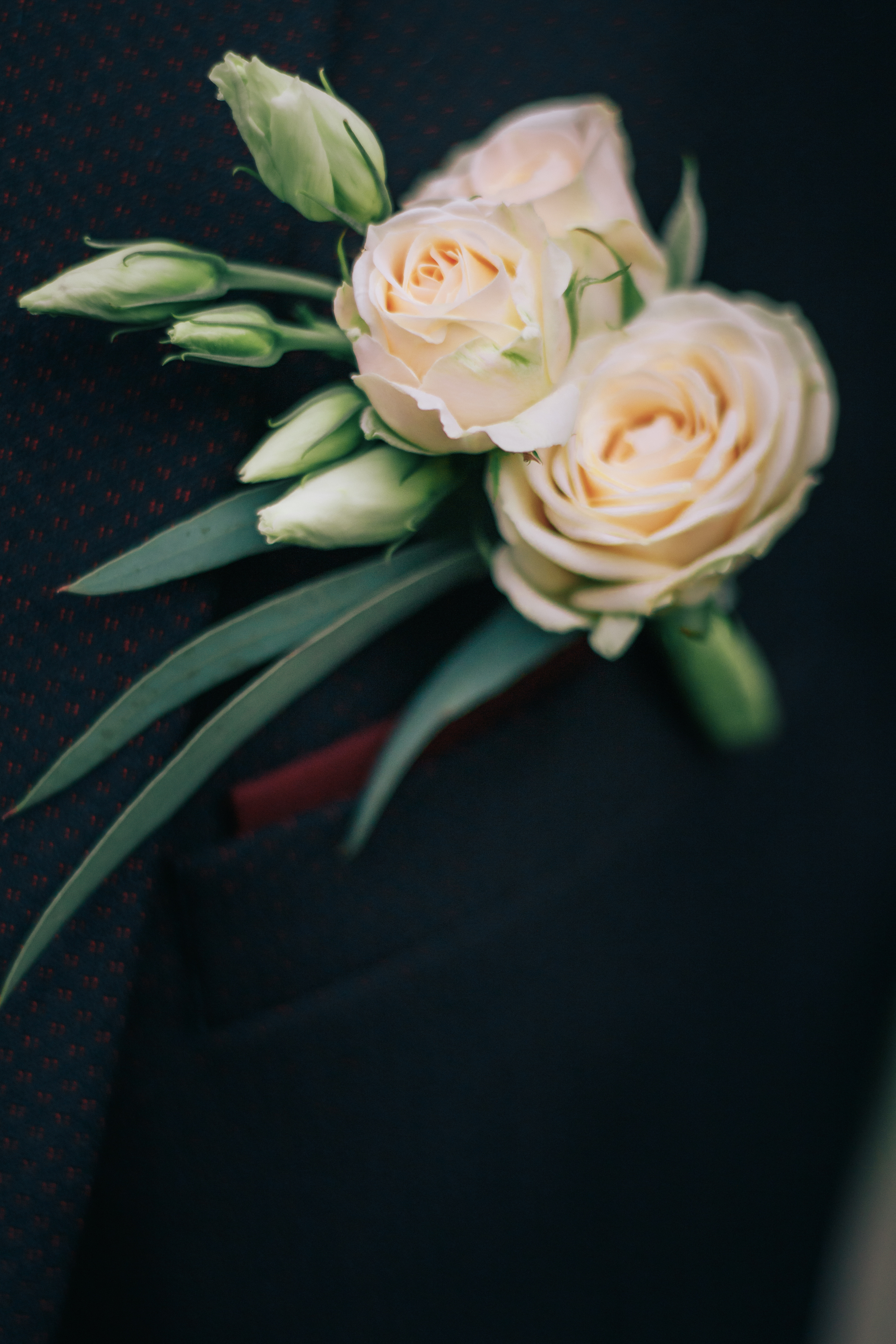 Свадебная фотосессия в ботаническом саду. Светлана Иванова - профессиональный фотограф