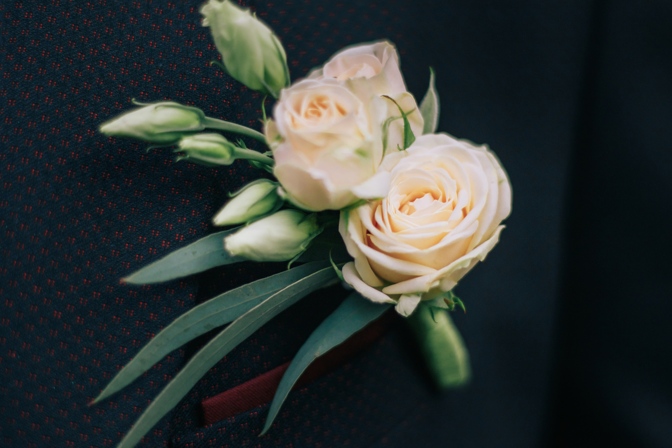 Свадебная фотосессия в ботаническом саду. Светлана Иванова - профессиональный фотограф