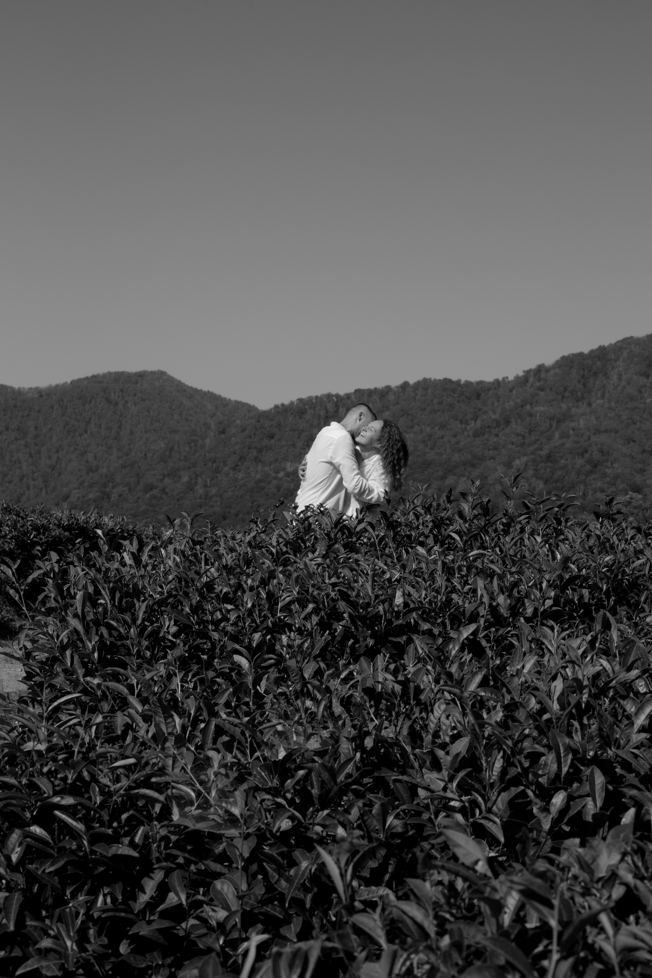 КИНО/ГЛАВНОЕ. Фотограф Сочи/Адлер