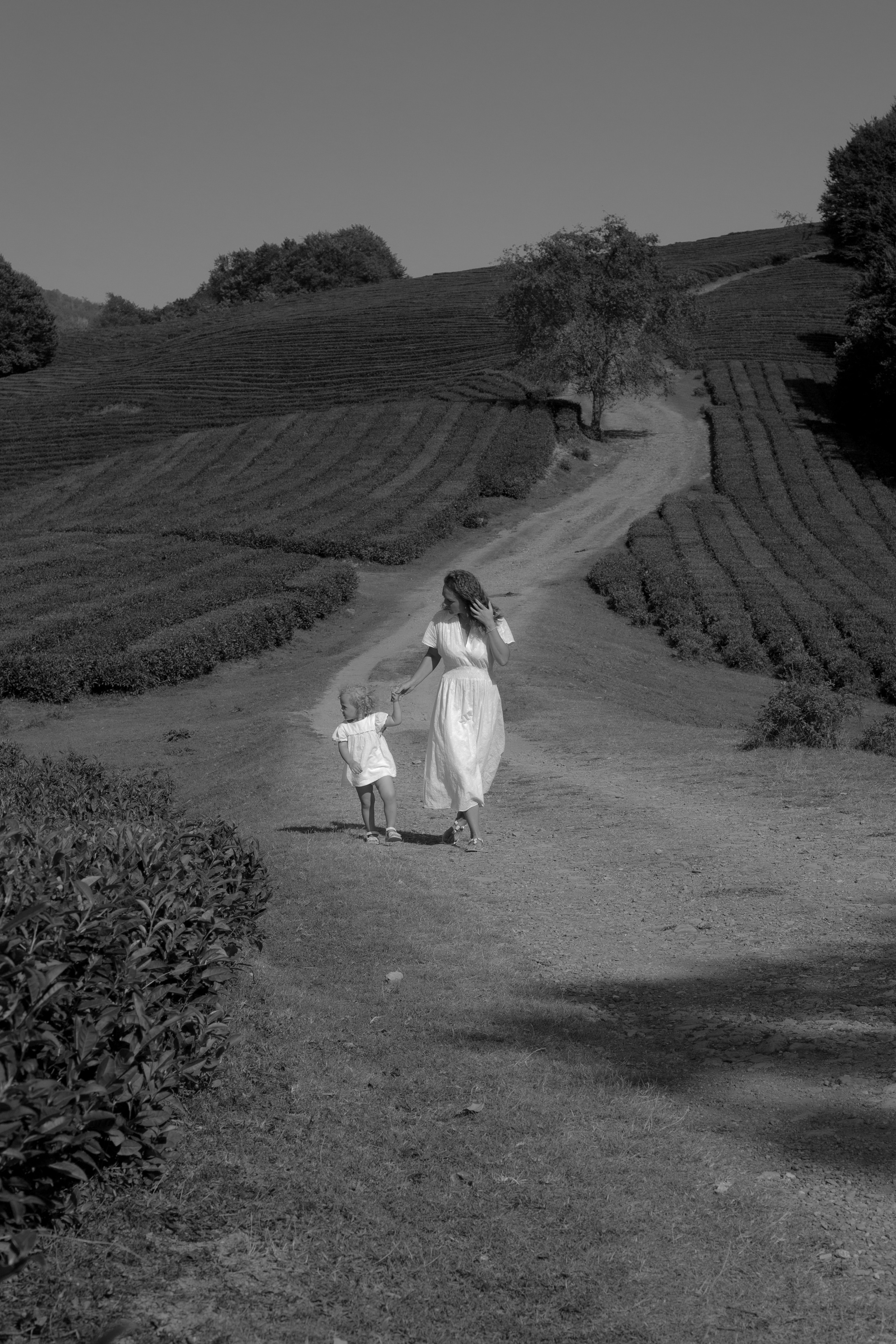 КИНО/ГЛАВНОЕ. Фотограф Сочи/Адлер