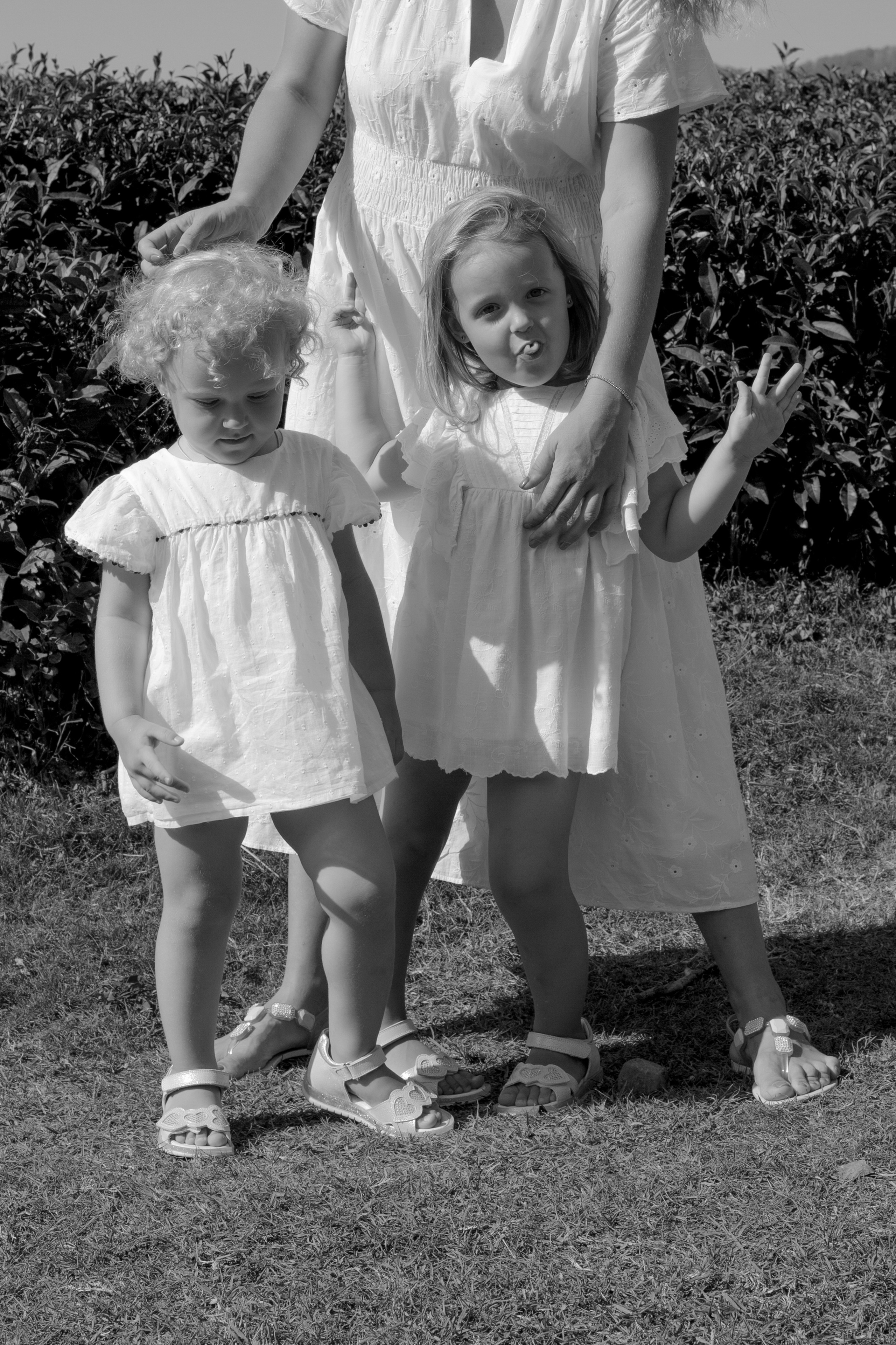 КИНО/ГЛАВНОЕ. Фотограф Сочи/Адлер