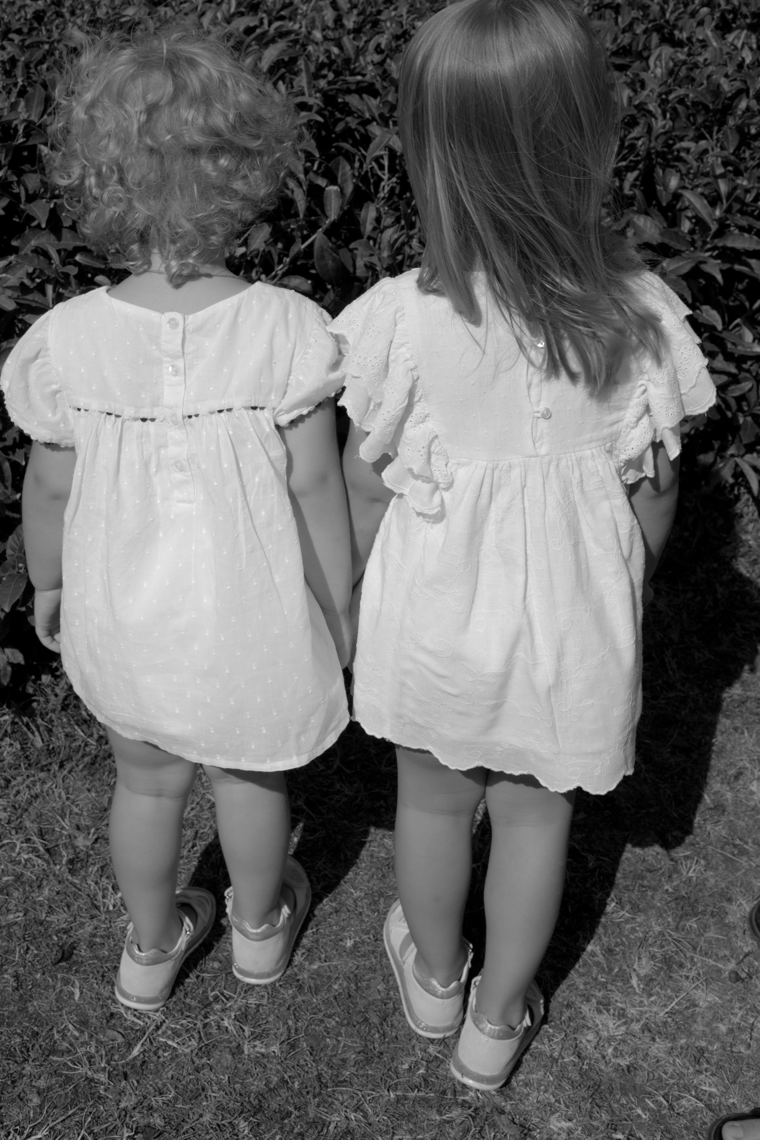 КИНО/ГЛАВНОЕ. Фотограф Сочи/Адлер