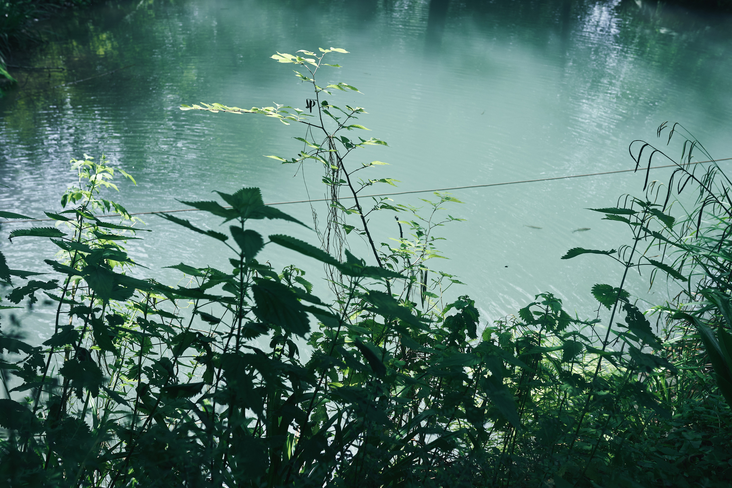 Фотографии с похода в Пасть дракона. Фотограф в Сочи Катя Гончарова