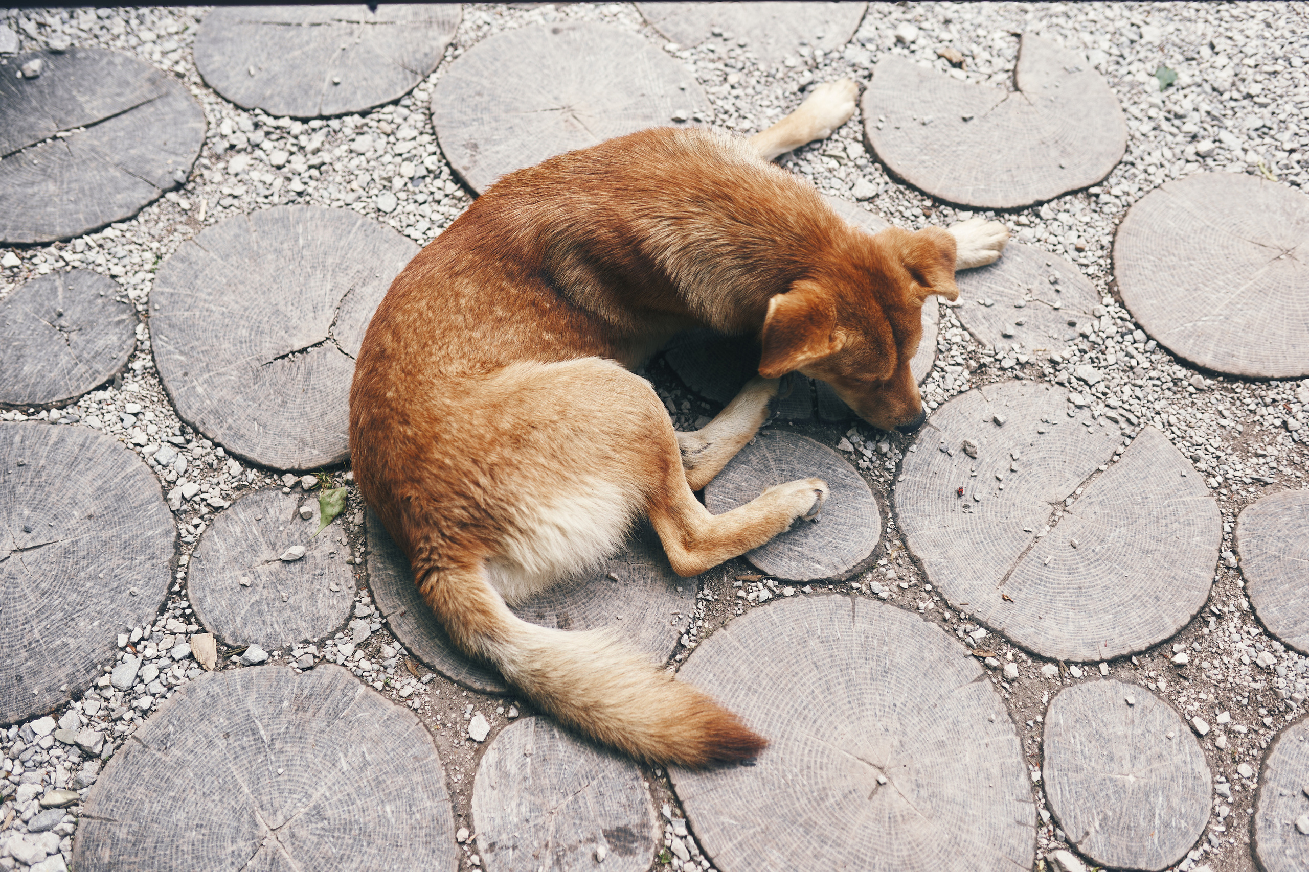 Фотографии с похода в Пасть дракона. Фотограф в Сочи Катя Гончарова