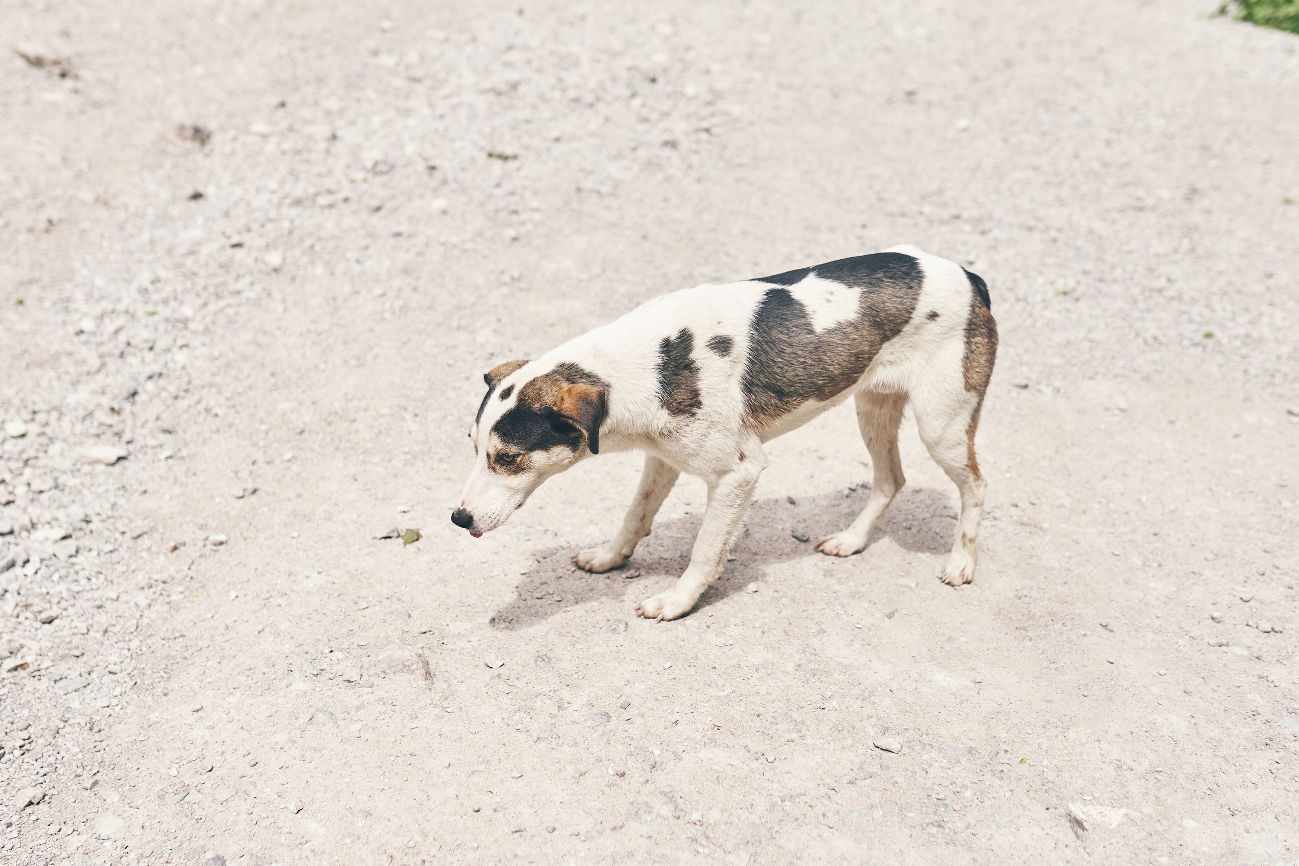 Фотографии с похода в Пасть дракона. Фотограф в Сочи Катя Гончарова