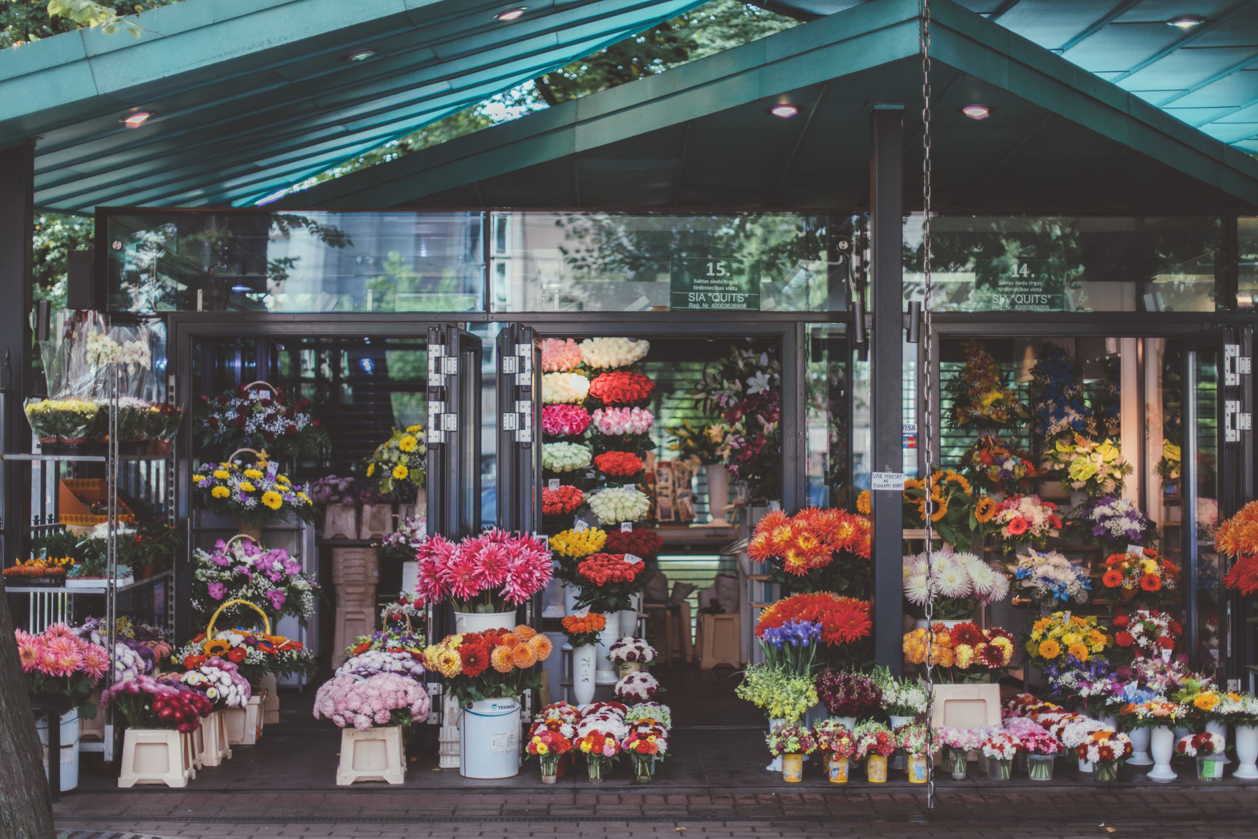 Латвия. Аня Степанова