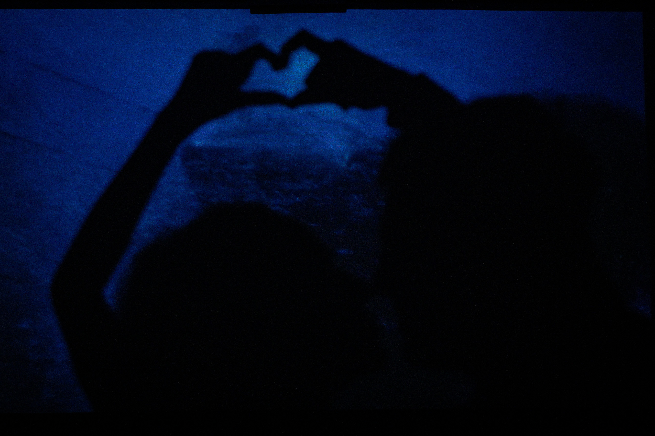 Предложение. Никита и Лера. Репортажный фотограф в Новосибирске. Алексей Гриценко