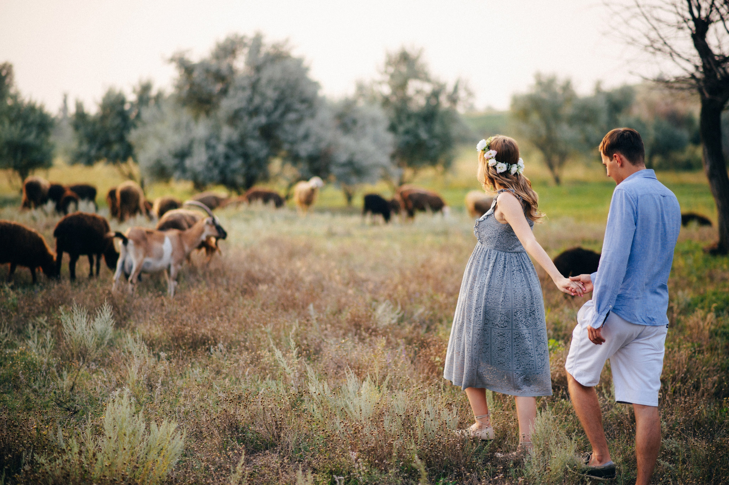 Оля и Боря. Свадебный фотограф/видеограф Максим Черников