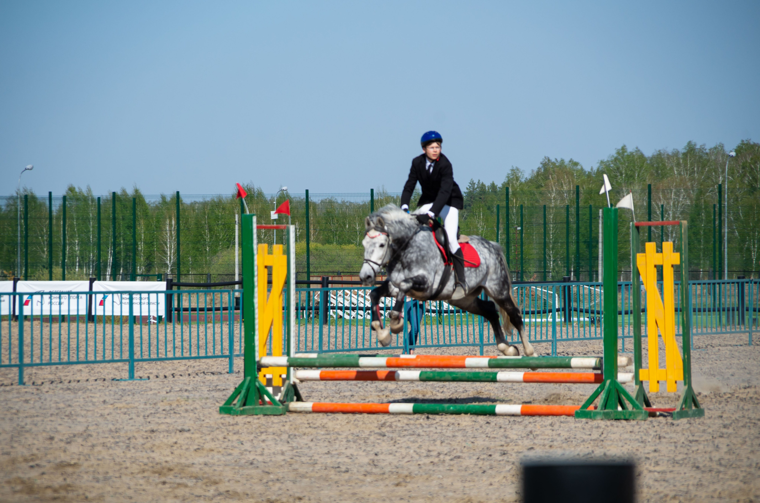 ДЕТИ & ЛОШАДИ. Фотограф Марина Доглядная Челябинск фотосессии с лошадьми, мотоциклами