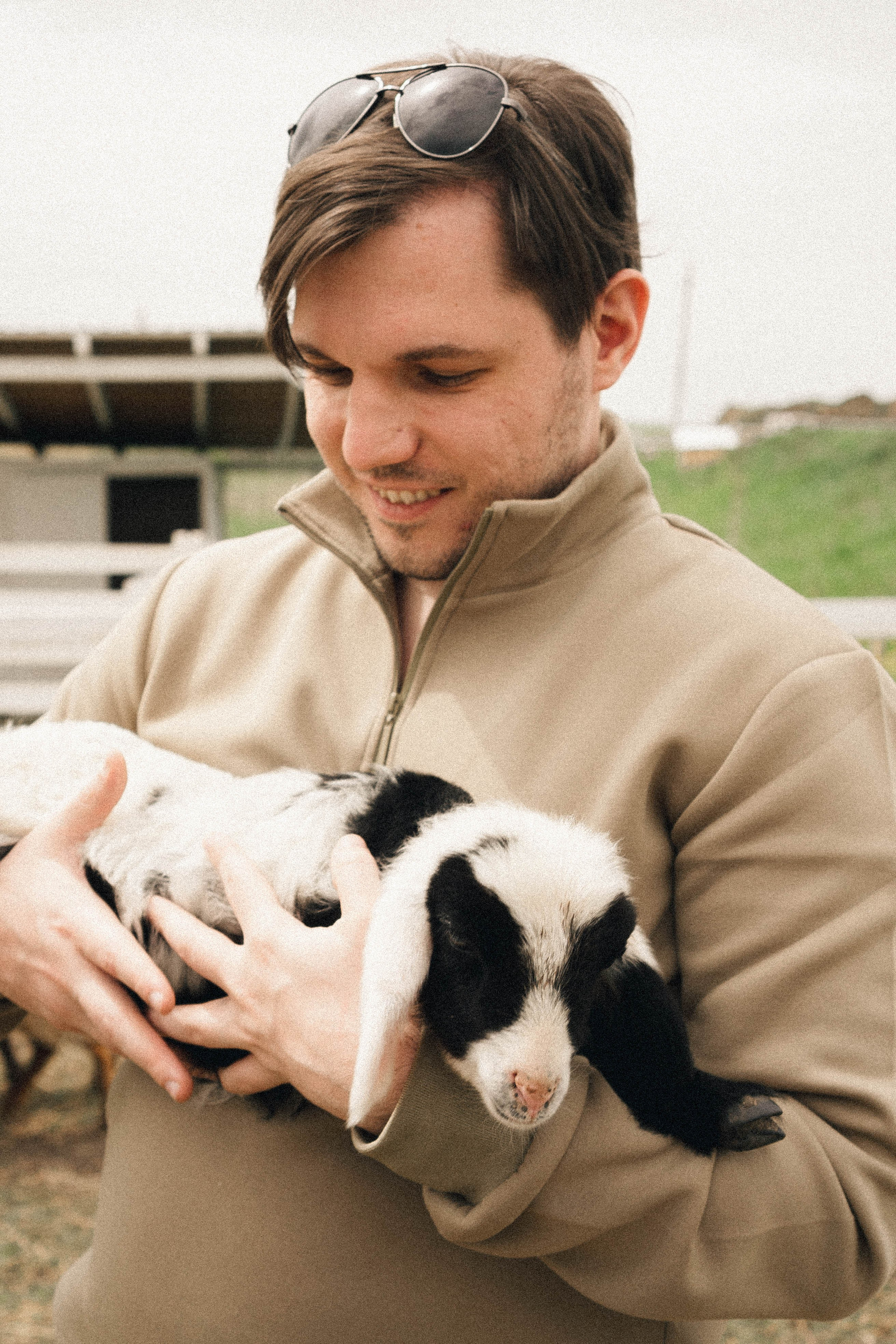 Ферма Альпак. Профессиональный фотограф, Санкт-Петербург — Виктория Богомолова