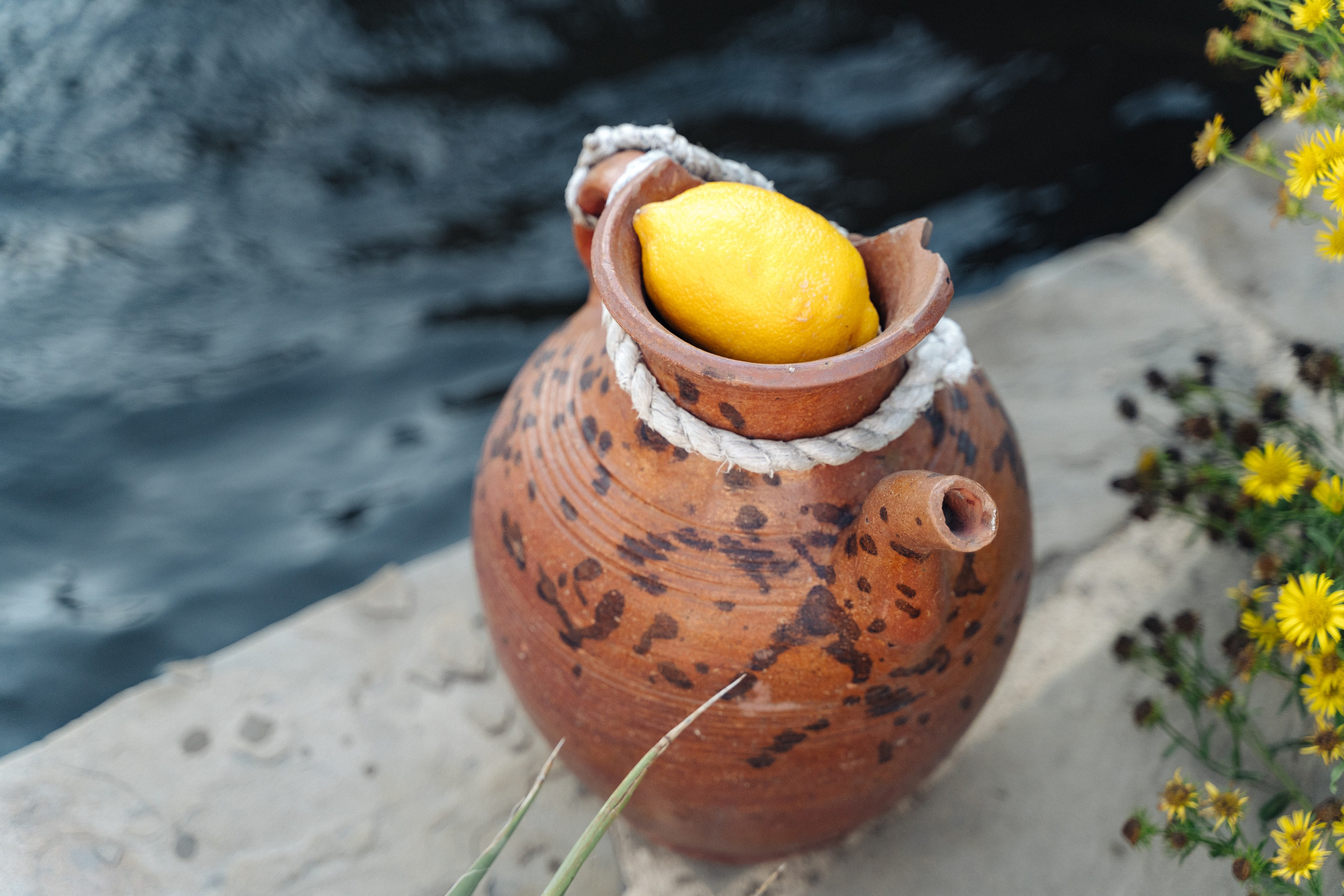 Гастроужин LOVELIFE