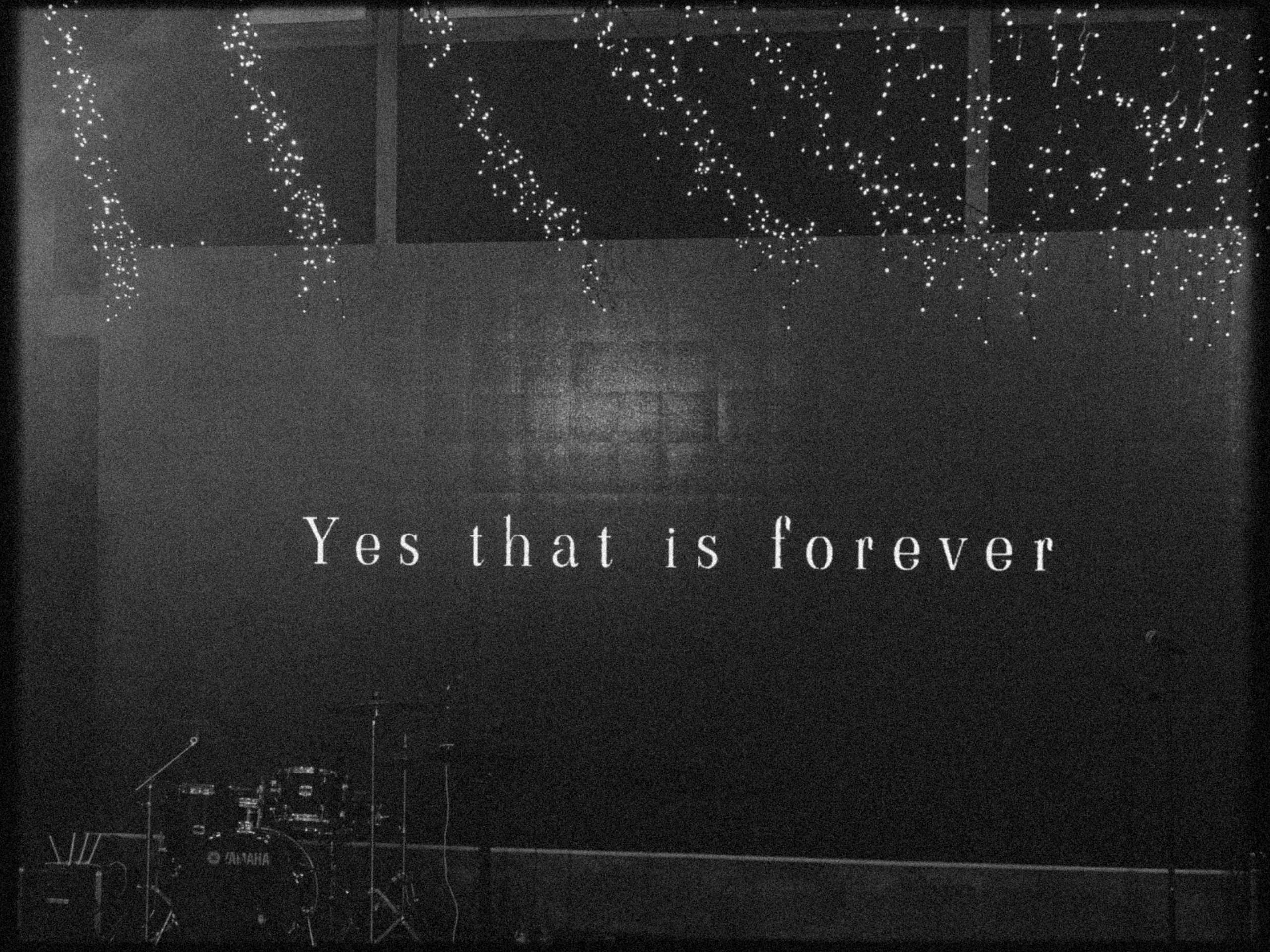 И даже птицы им пели песни. Свадебный фотограф Наташа Алешина