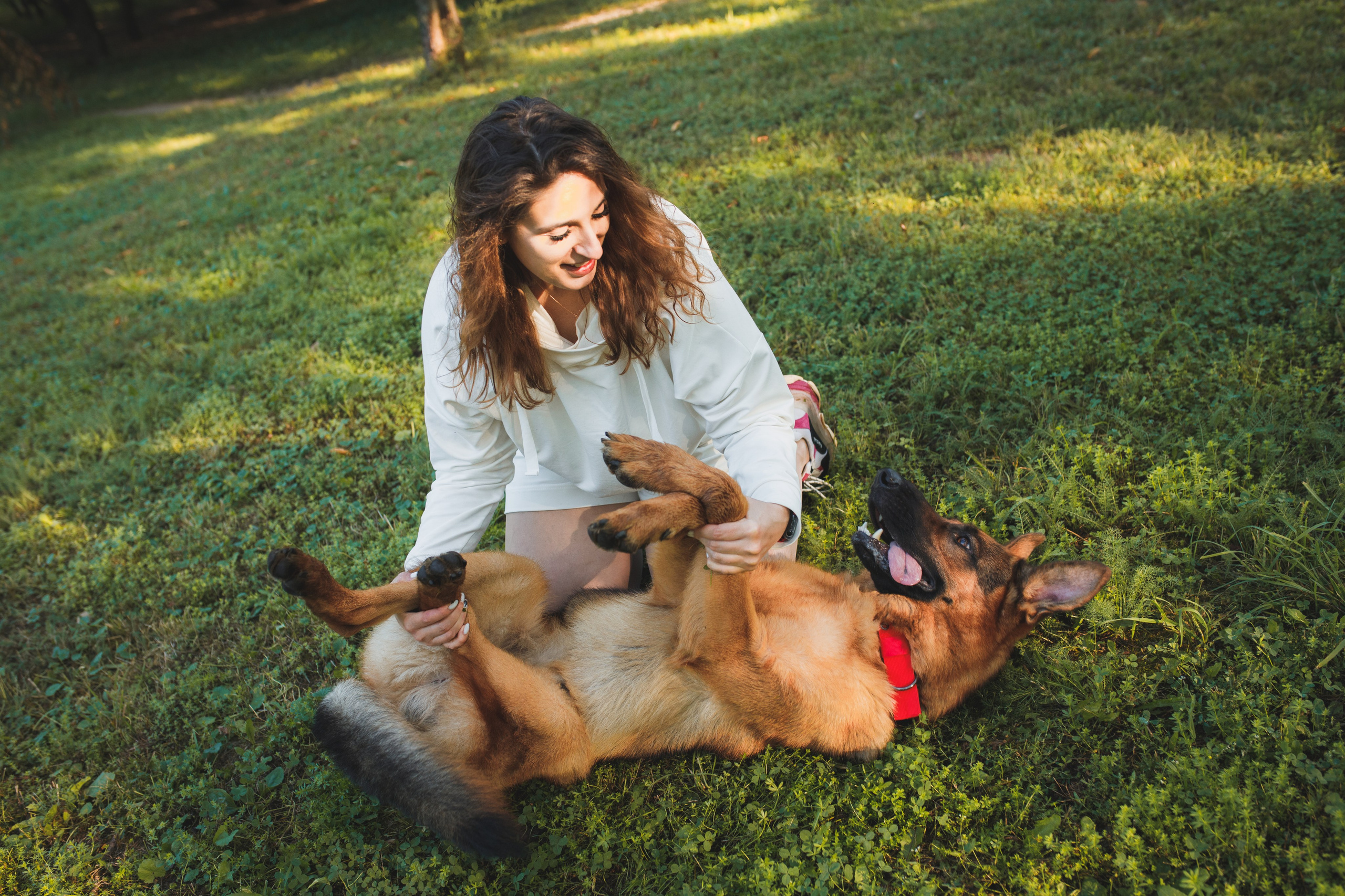 Фотопрогулка молодой девушки и ее собаки летним утром в парке. Семейный и школьный фотограф в Москве Анна Ткач
