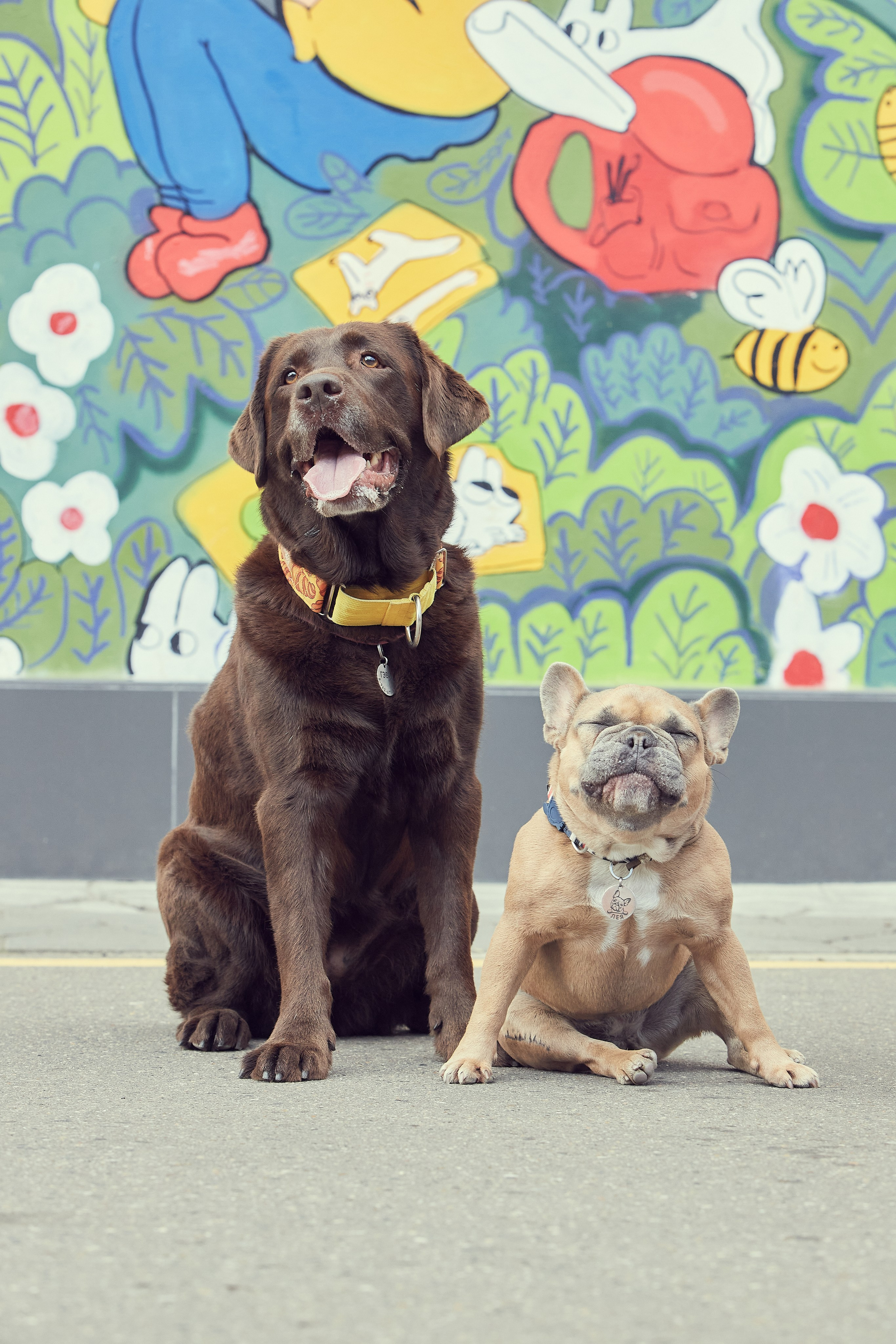 Портретная фотосессия Софы и питомцев. Екатерина Осипова — профессиональный фотограф в Москве
